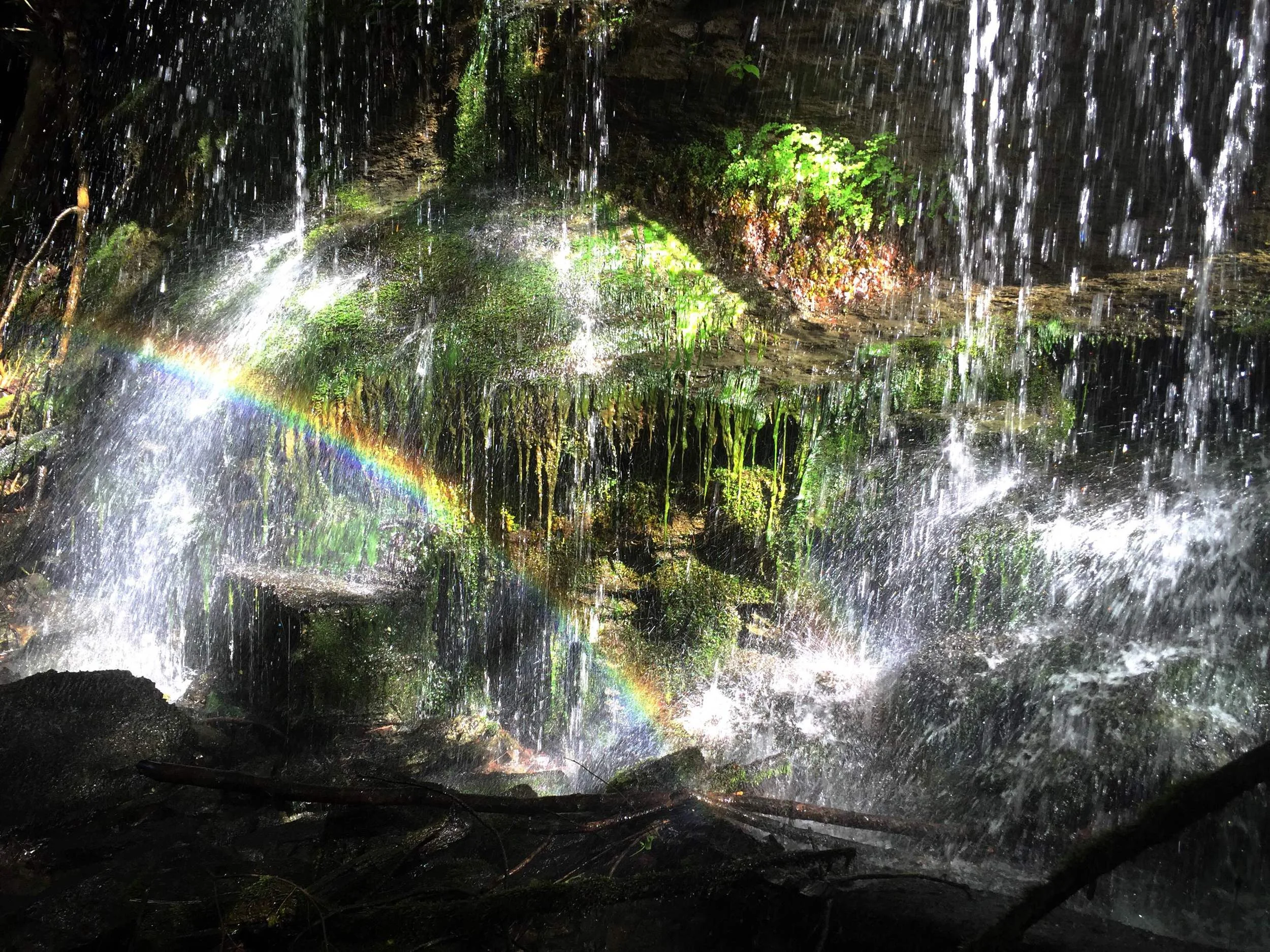 Off the Beaten Path: Who gets to use Tennessee River Gorge Trust land?
