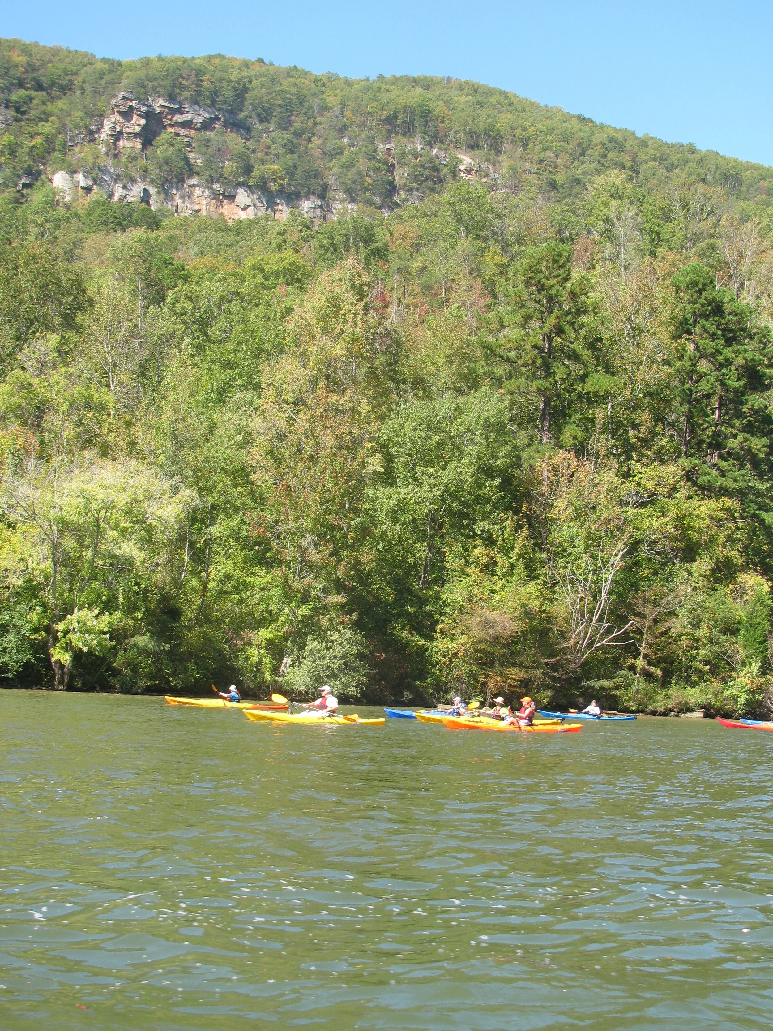 Saturday, August 6: Kayak to the TRGT Bird Lab and Raccoon Mountain 