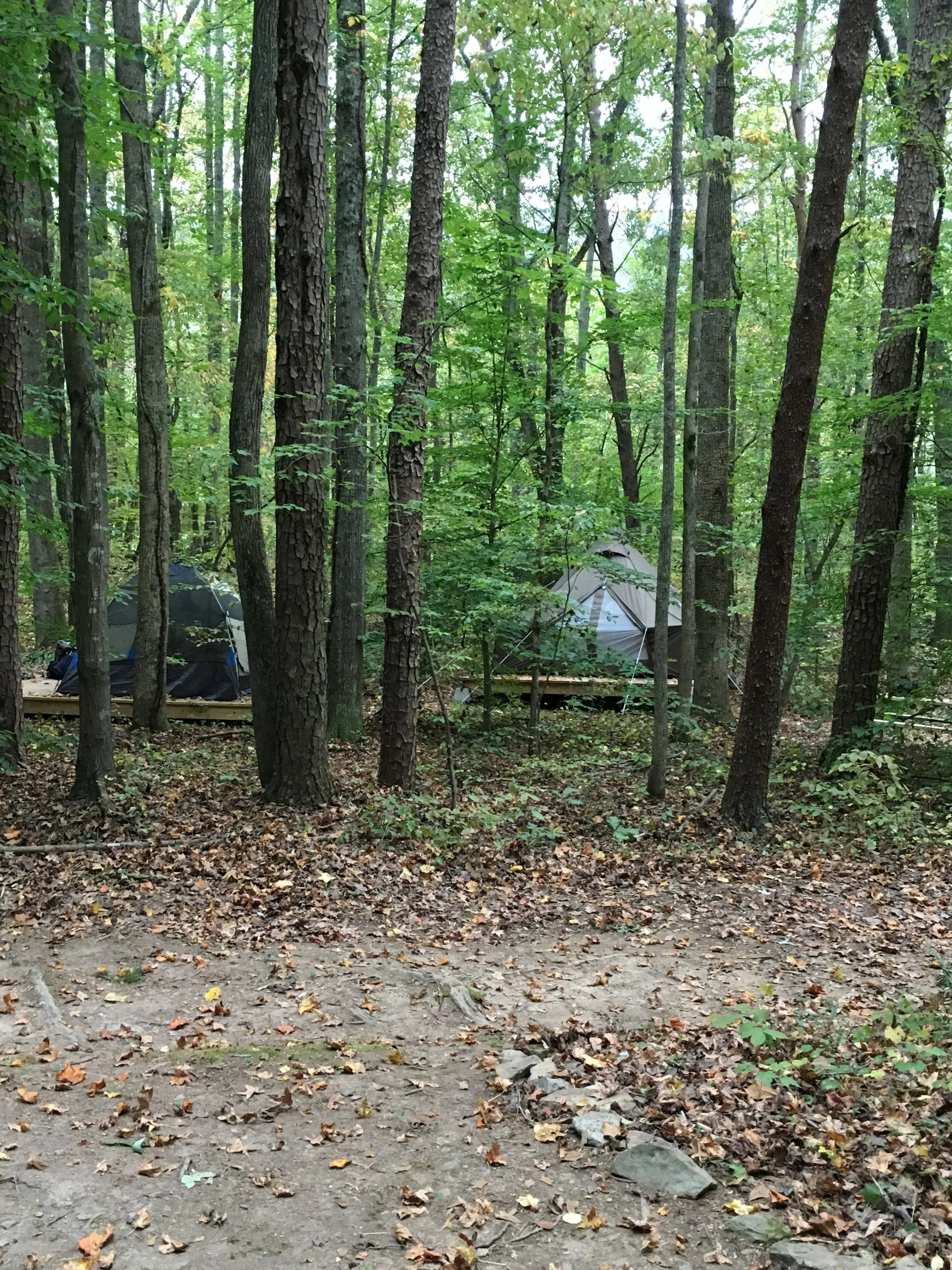 June 9-10: Family Camping at the Bird Observatory