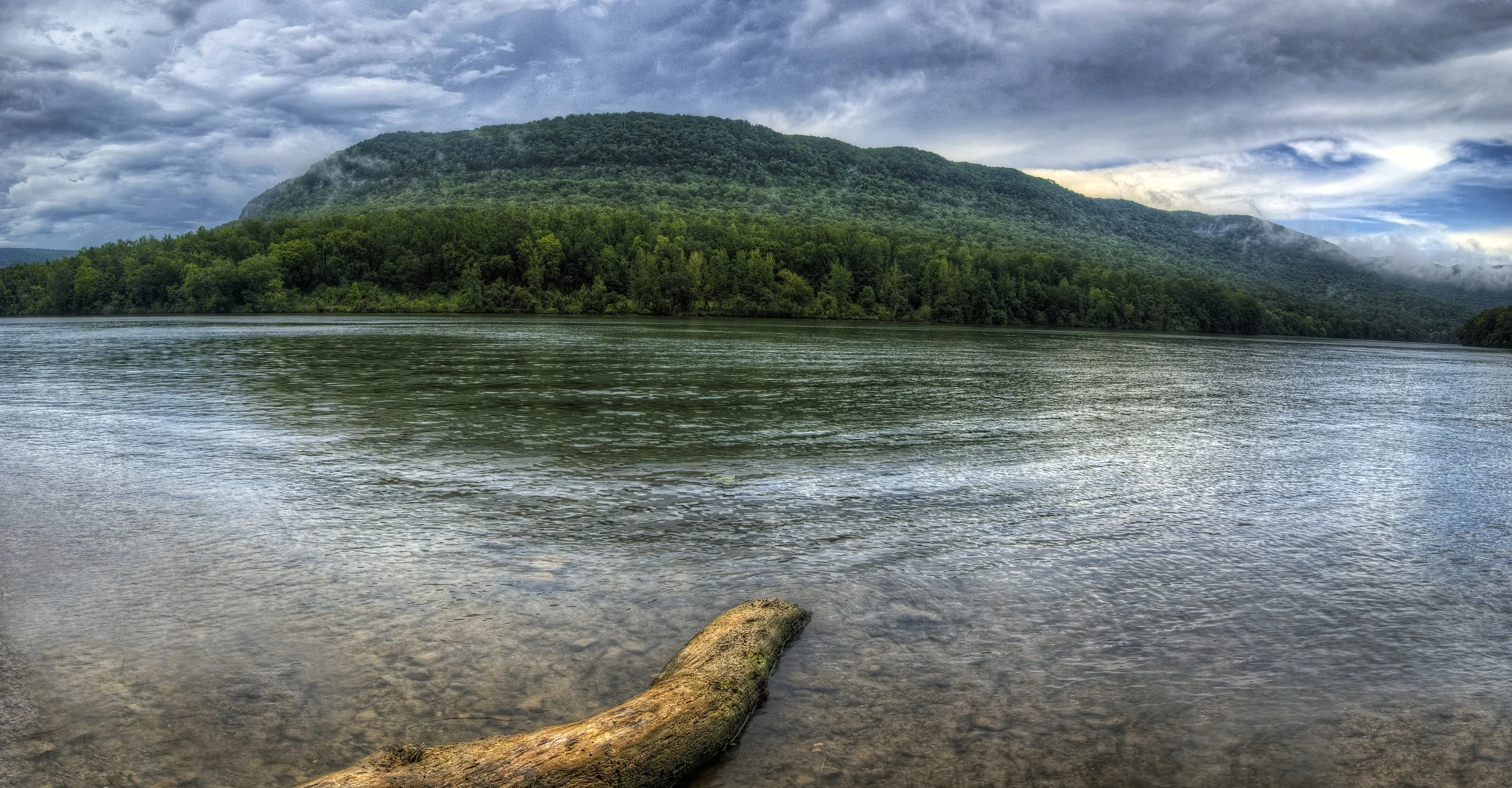  A view of the Bird Observatory property in the heart of the TN River Gorge