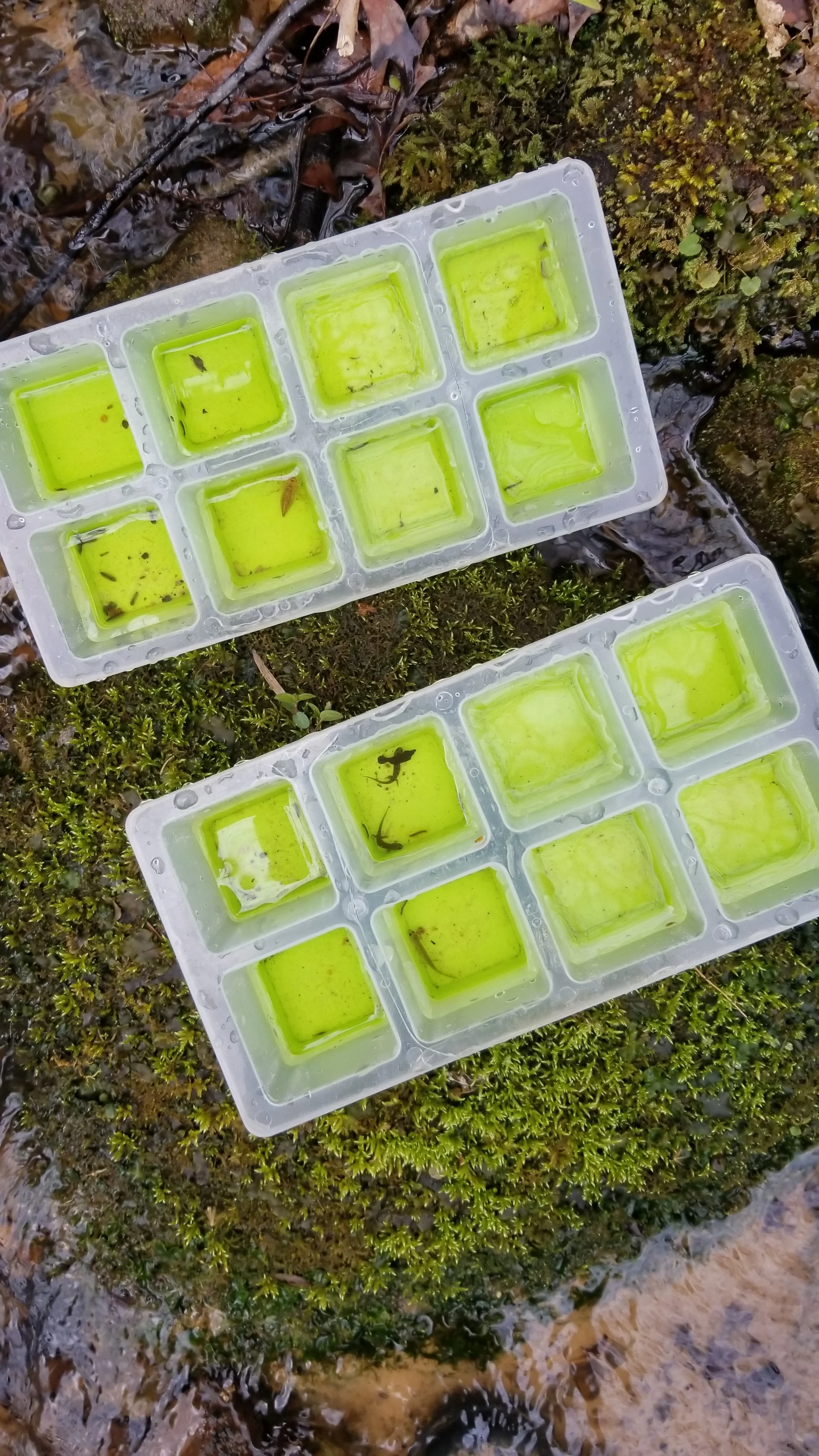 20180307_104513.jpg