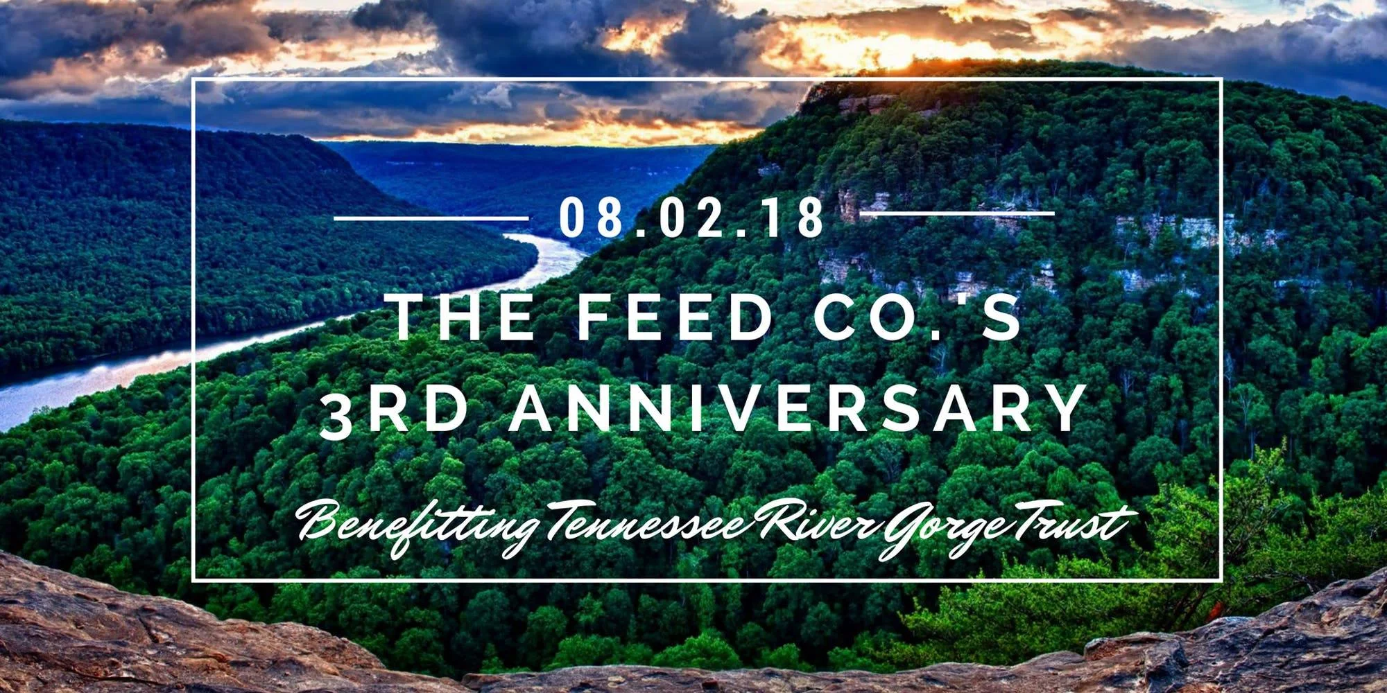 FEED Co.jpg