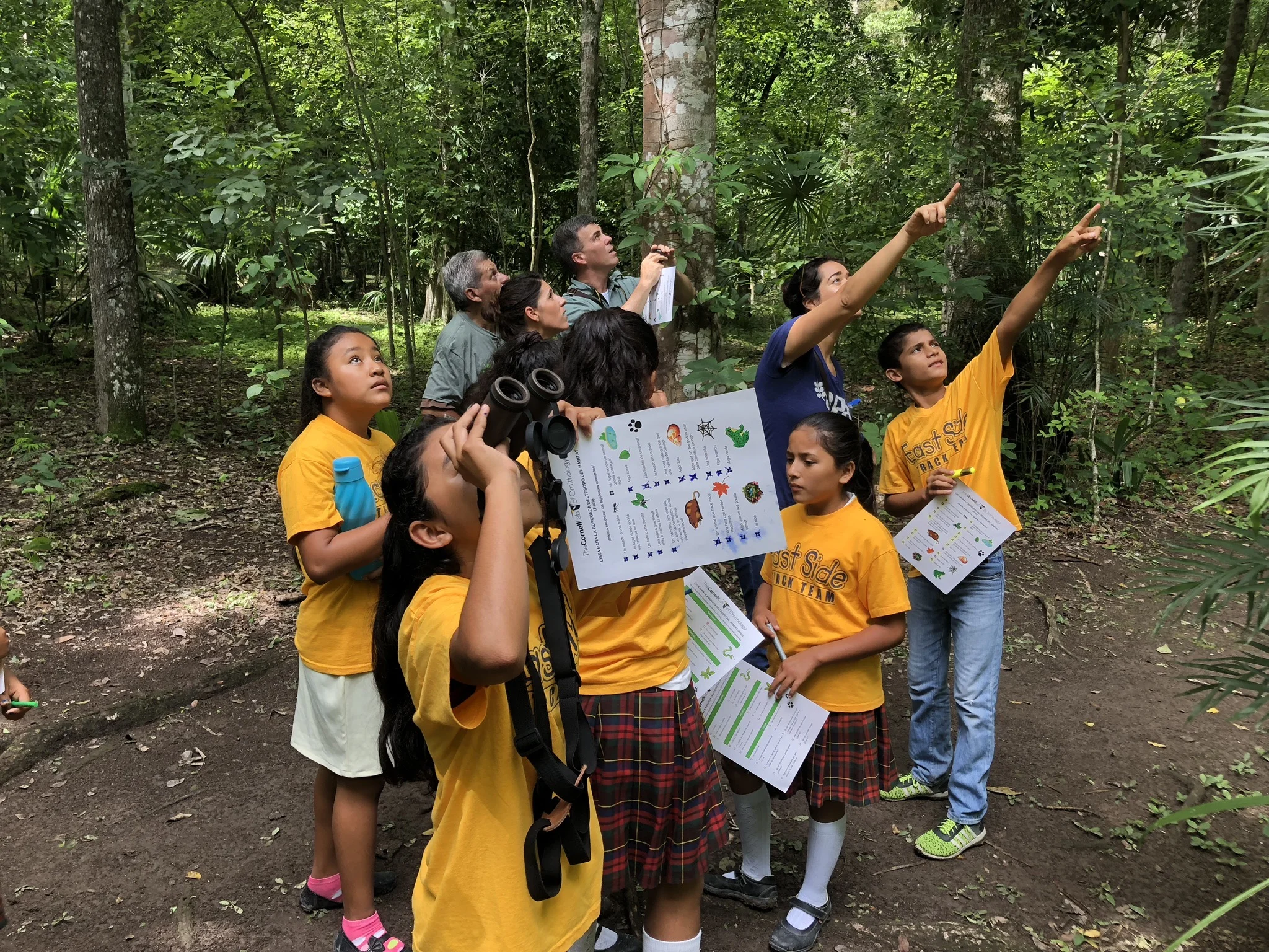 Connecting International Communities Through Bird Migration