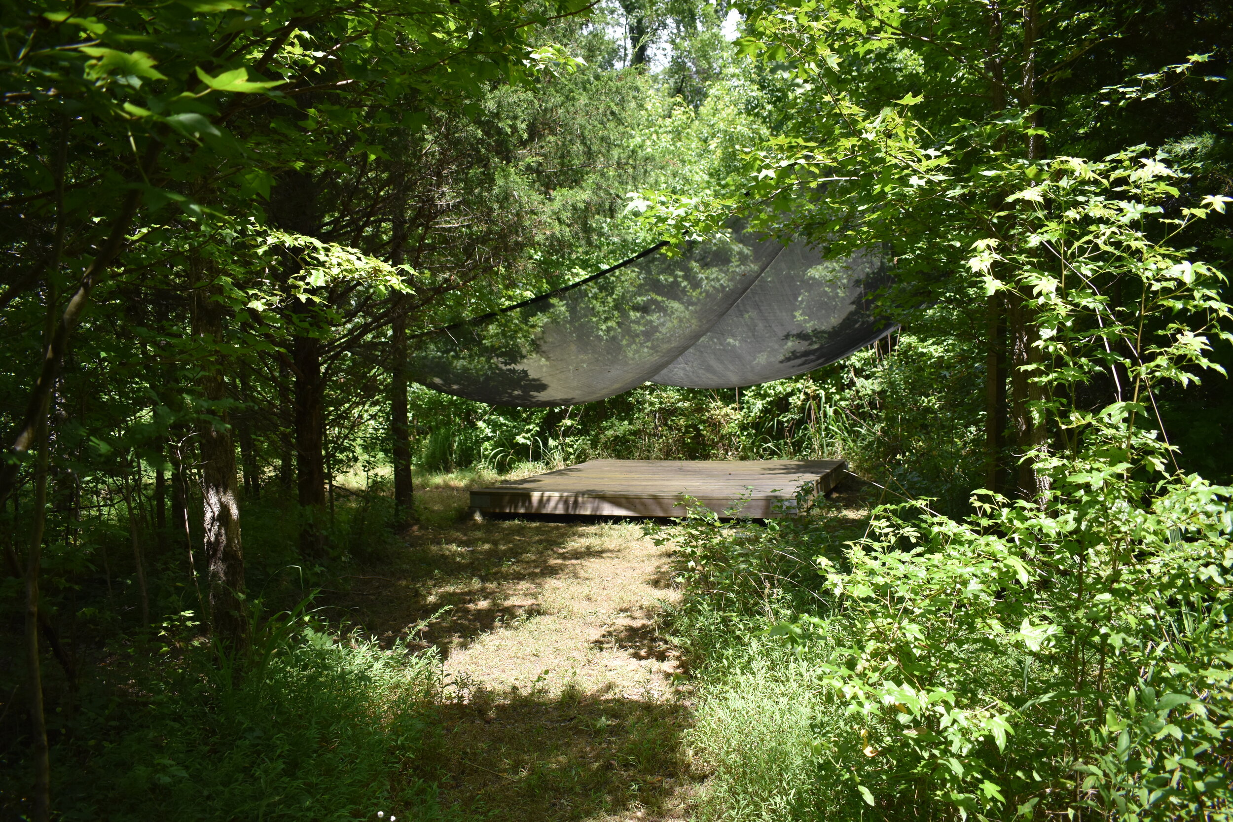 Williams Island Campsite