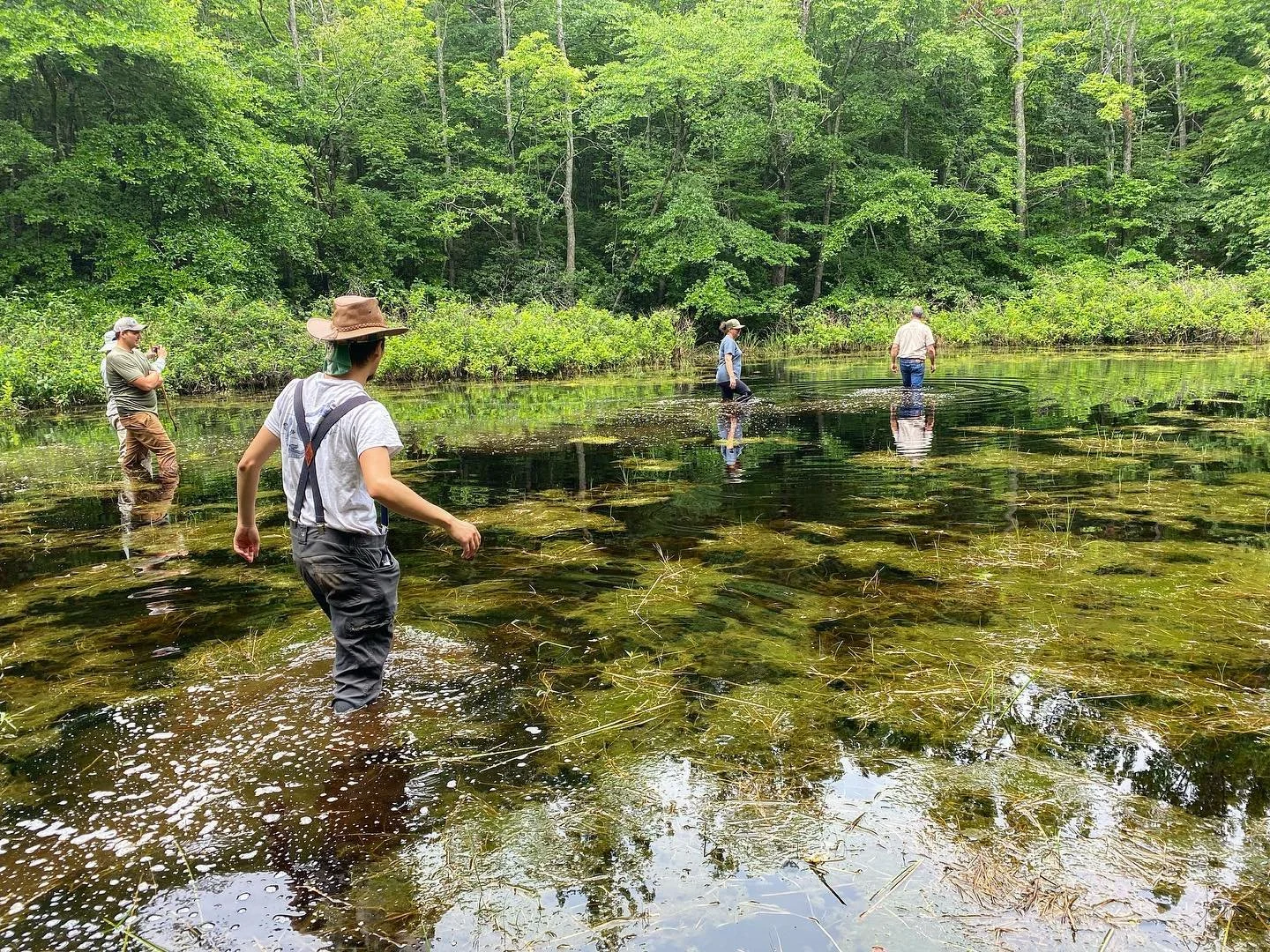 Protecting the Aetna Mountain Bogs