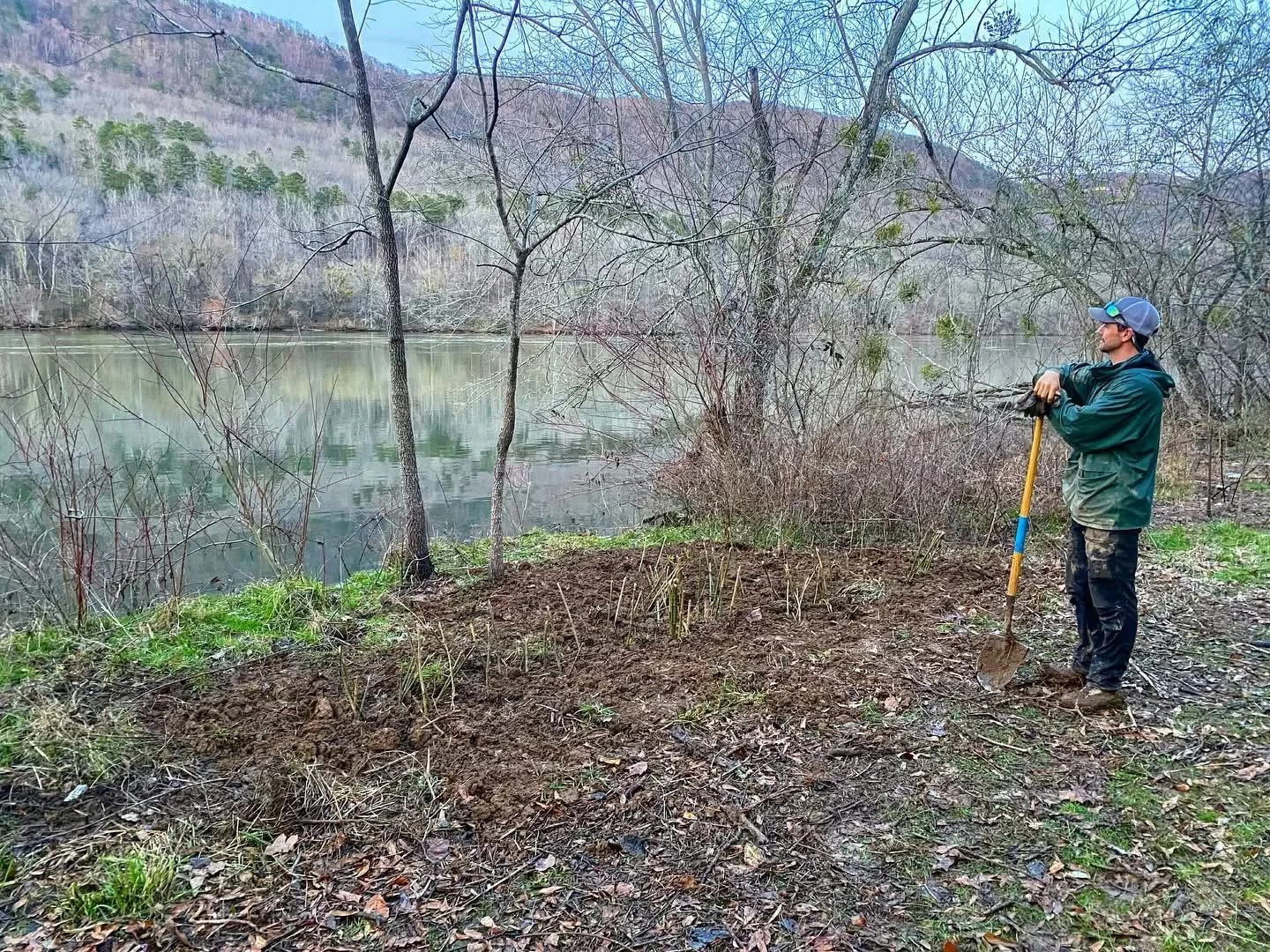 Restoring Rivercane: Reviving a Cultural and Ecological Keystone