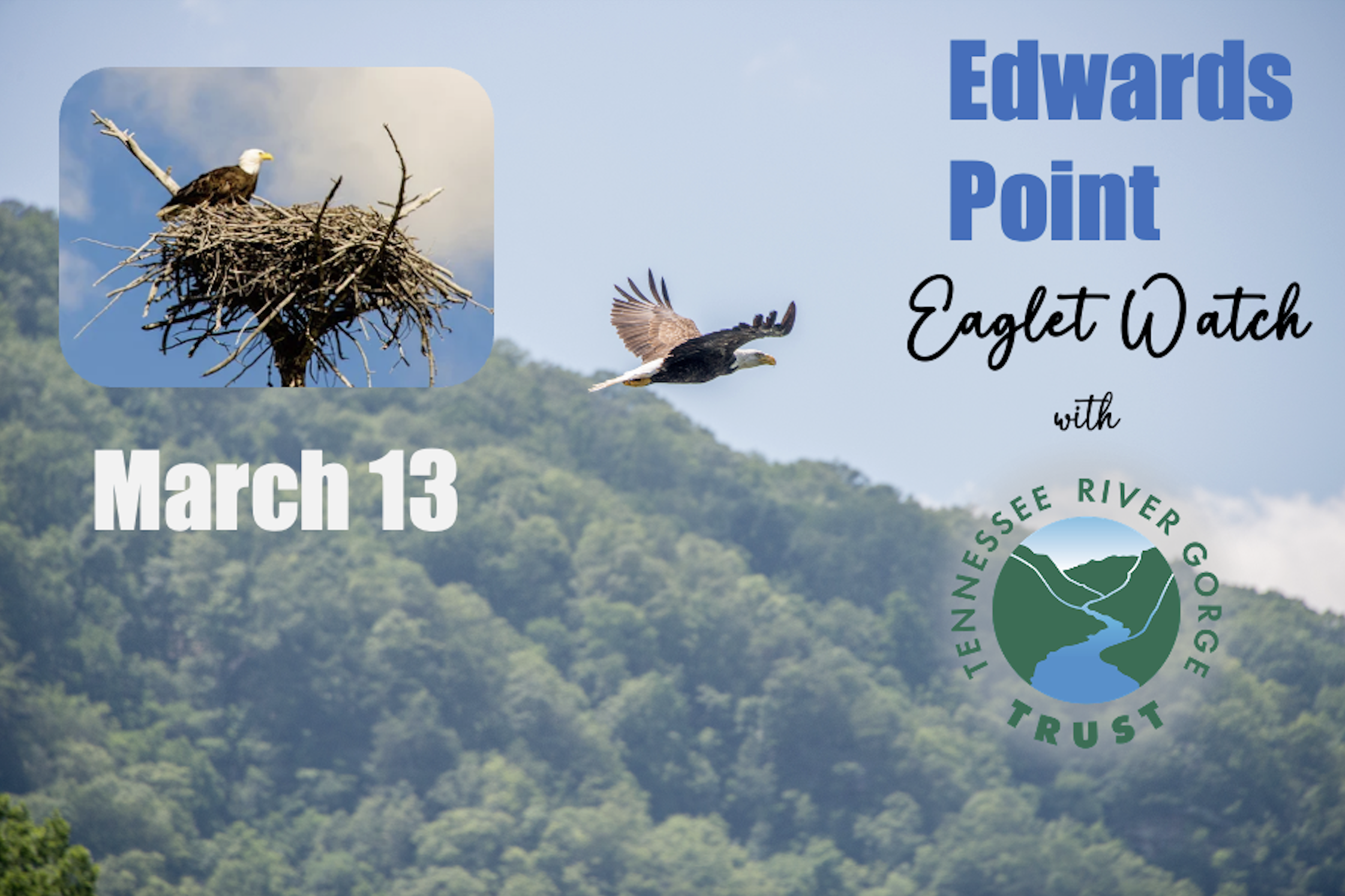 March 13 Eaglette Watch.png