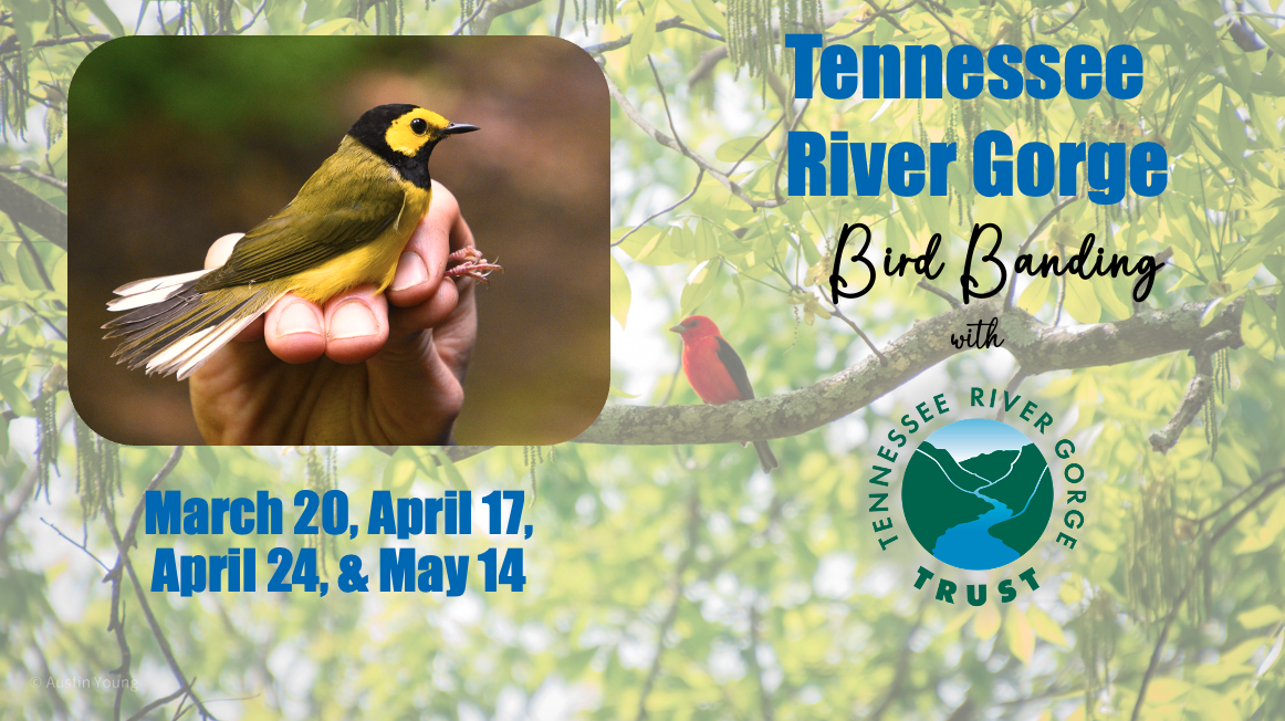 Screen Shot 2026-03-04 at 8.19.40 AM.png