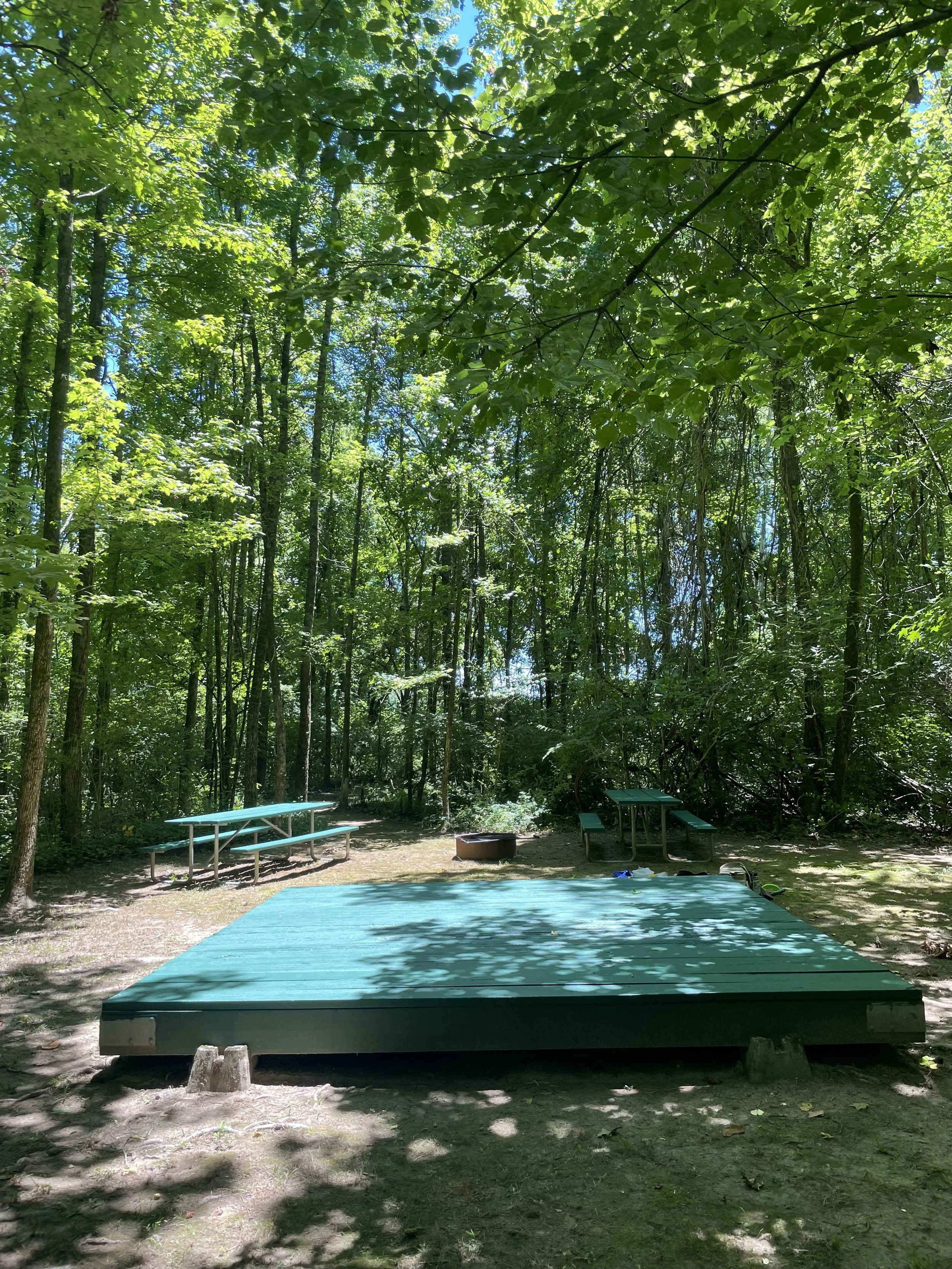 WilliamsIslandCampsite2Paint.jpg