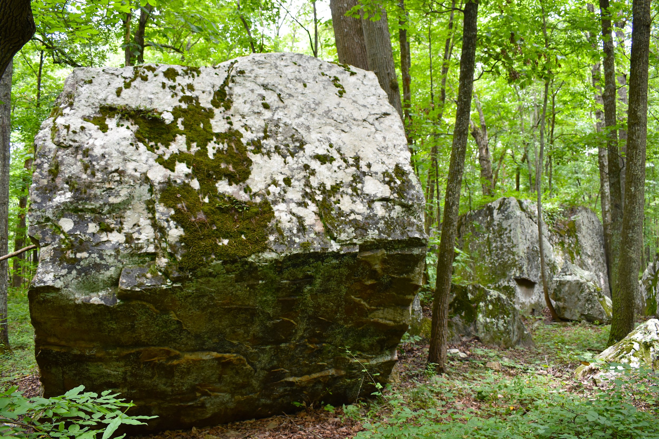 Pp Boulder 5 low.jpg
