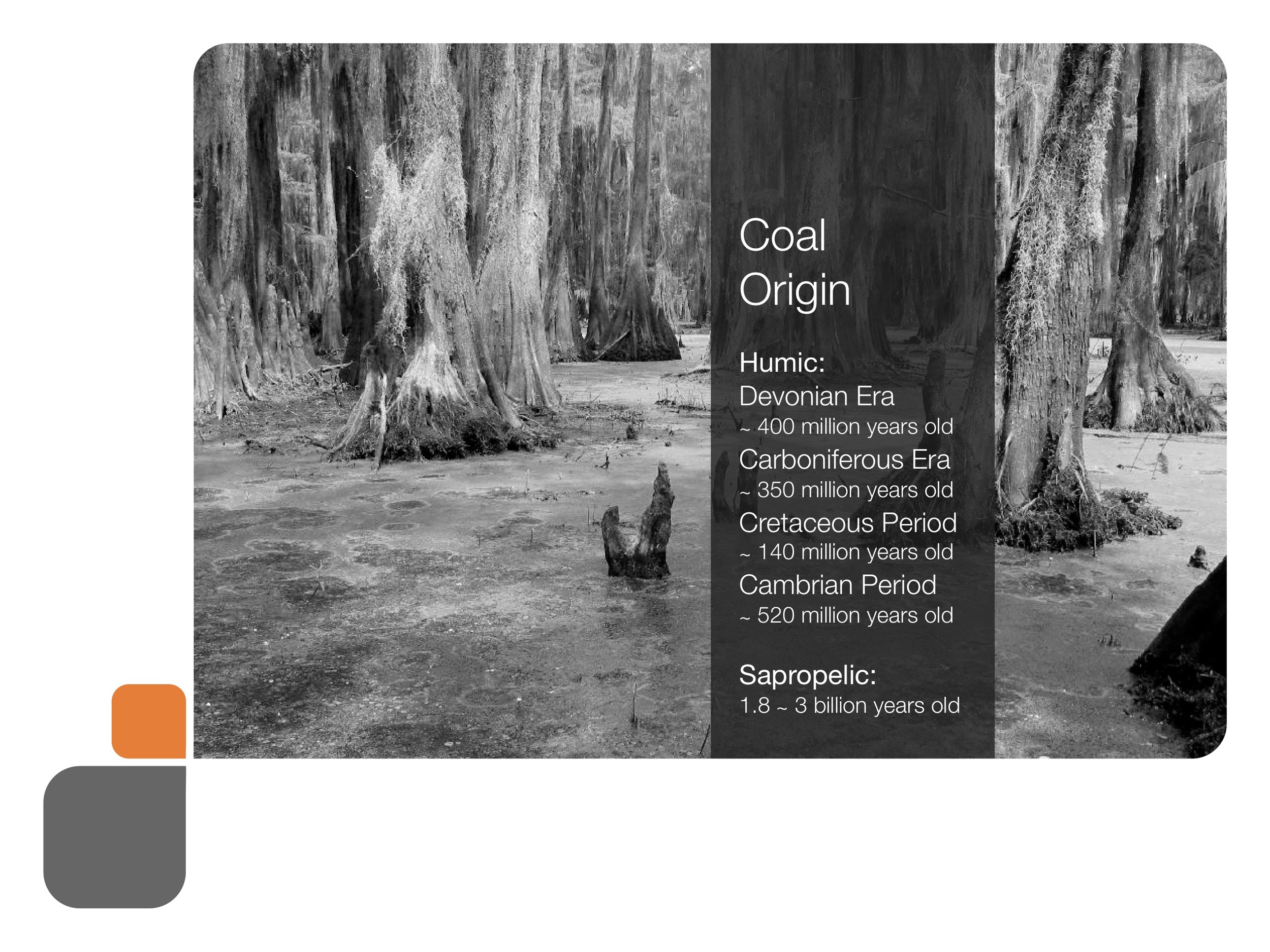coal_presentation 55.jpeg