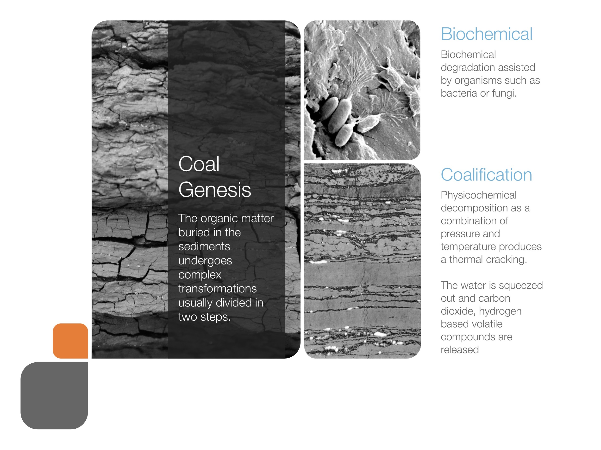 coal_presentation 56.jpeg