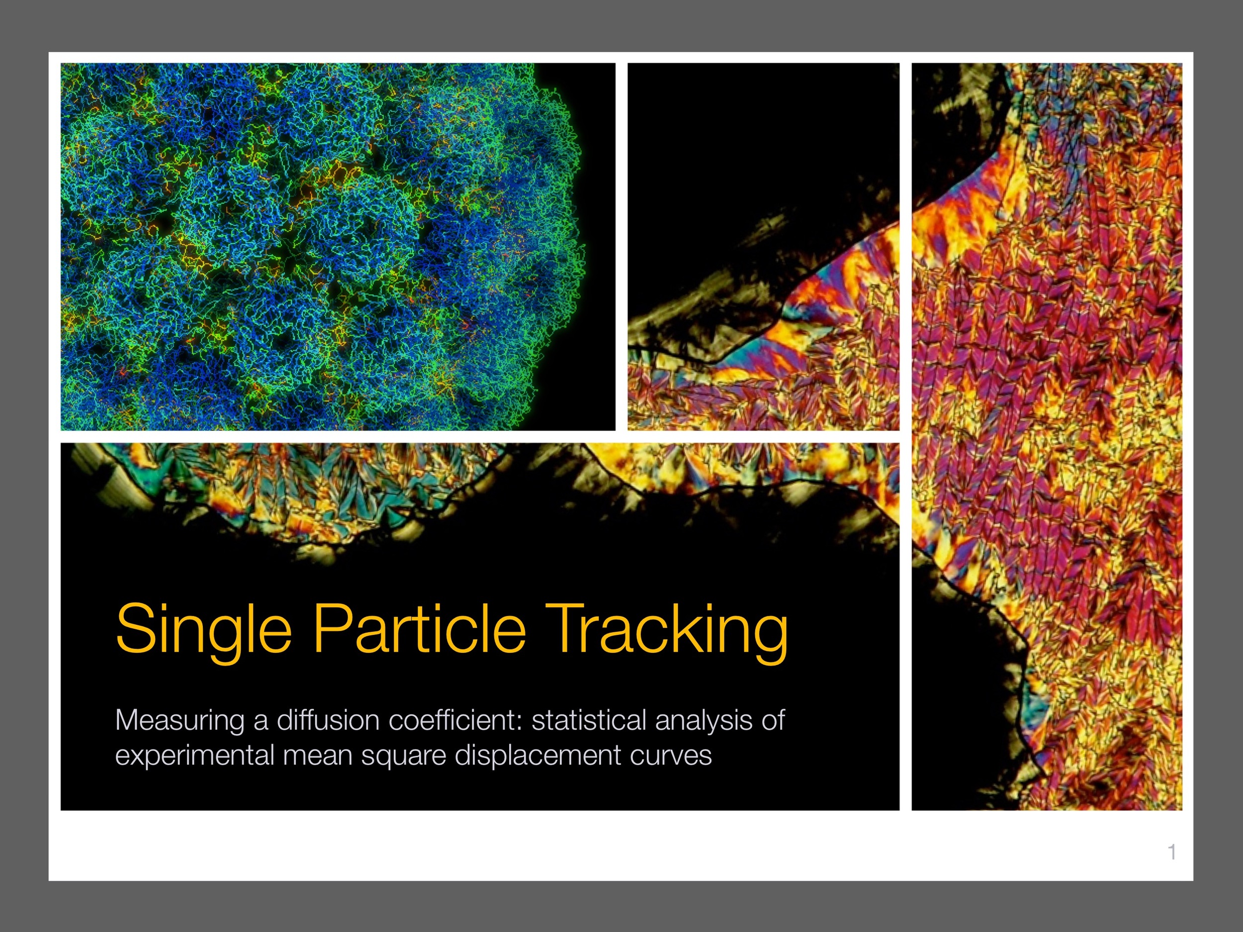 single-particle-tracking_presentation 1.jpeg