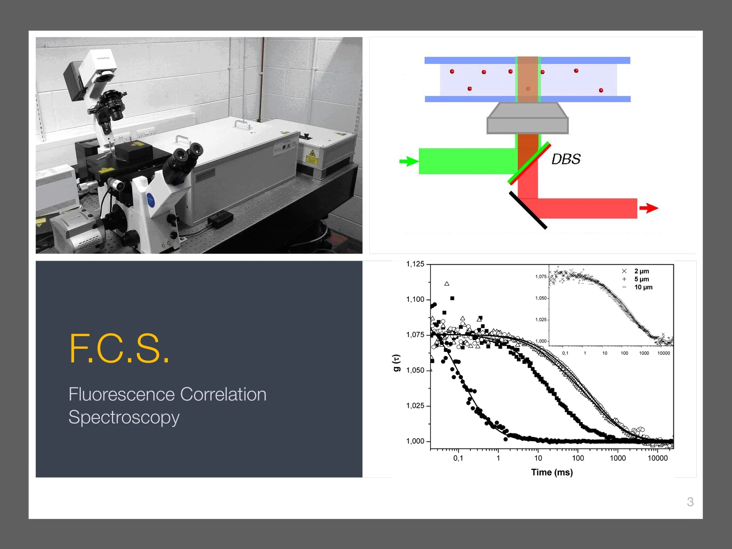 single-particle-tracking_presentation 4.jpeg