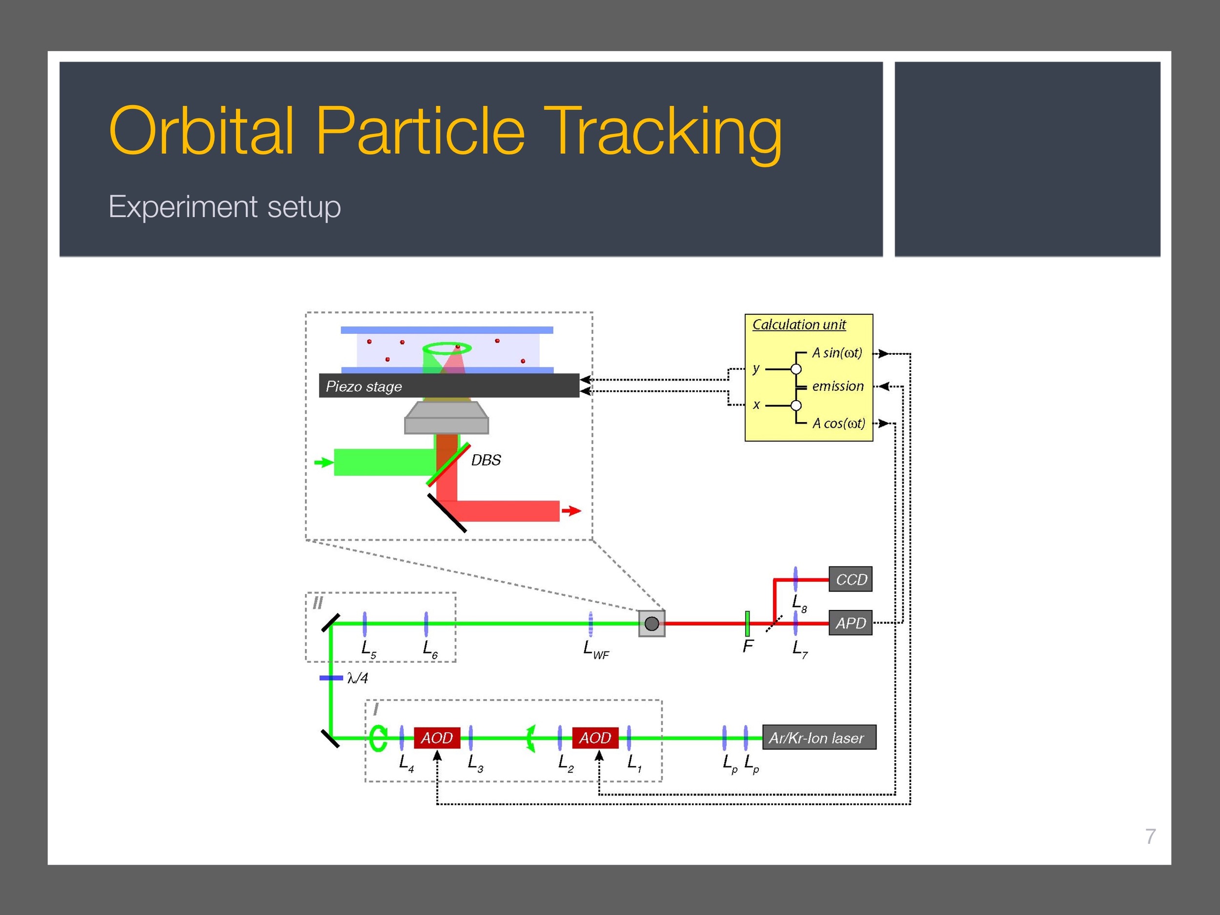 single-particle-tracking_presentation 8.jpeg