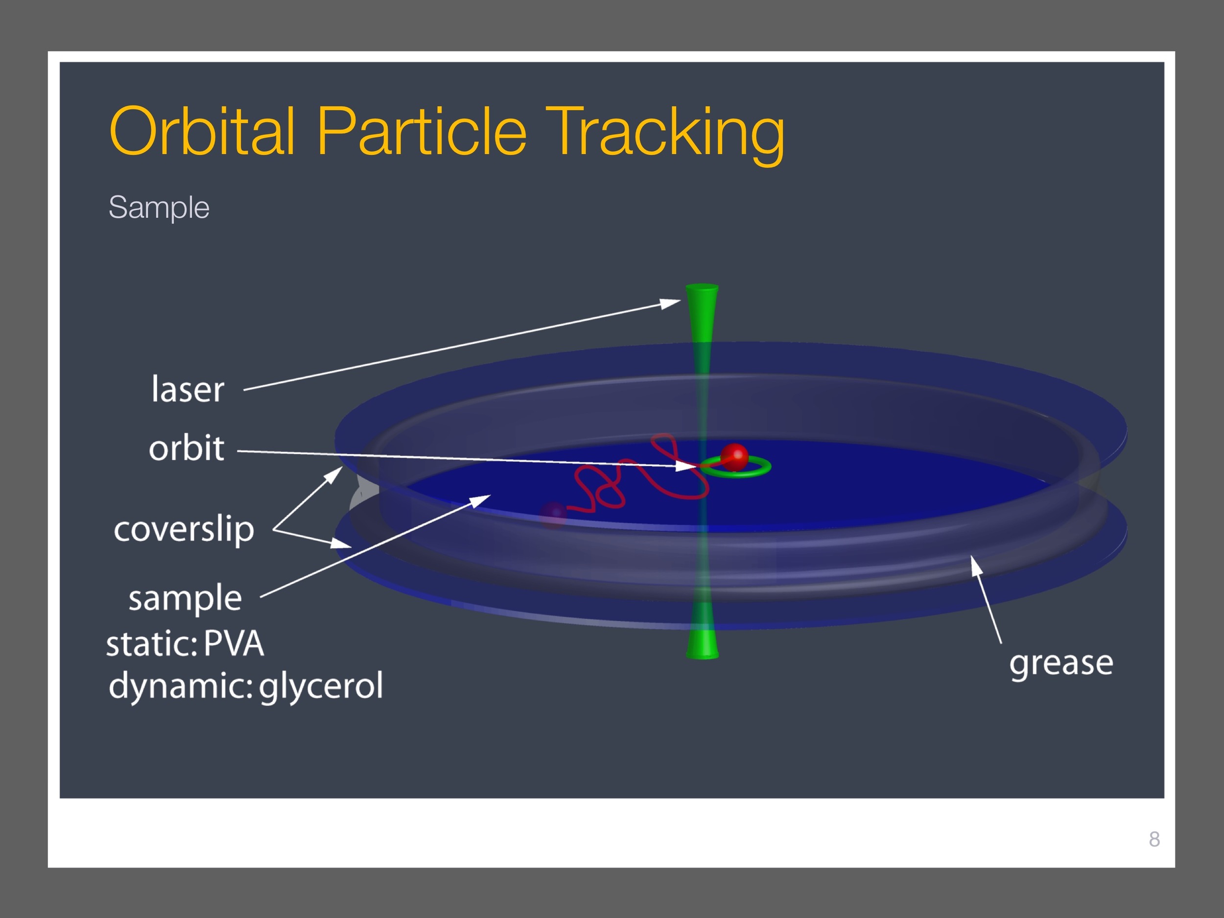 single-particle-tracking_presentation 9.jpeg