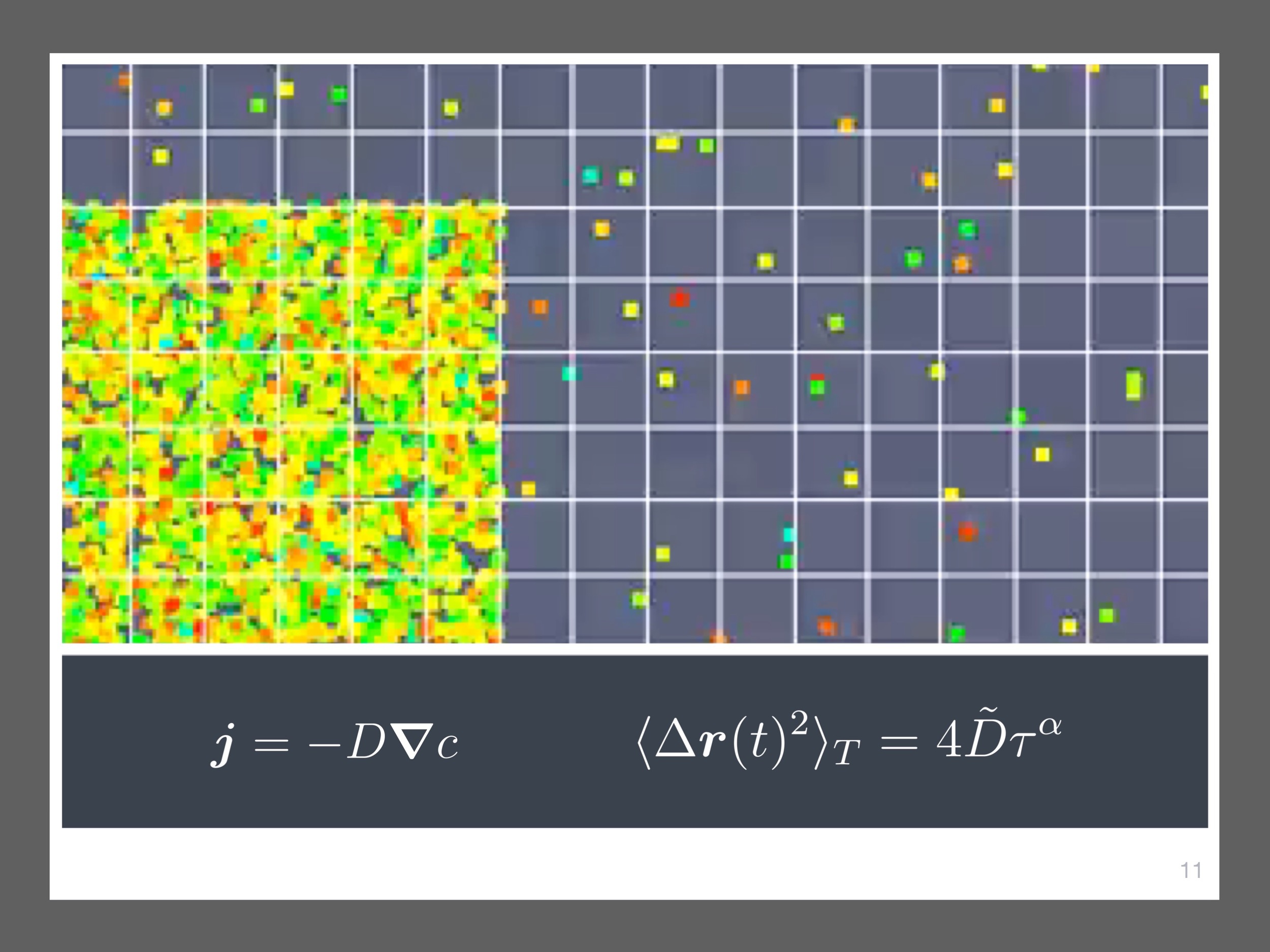 single-particle-tracking_presentation 13.jpeg