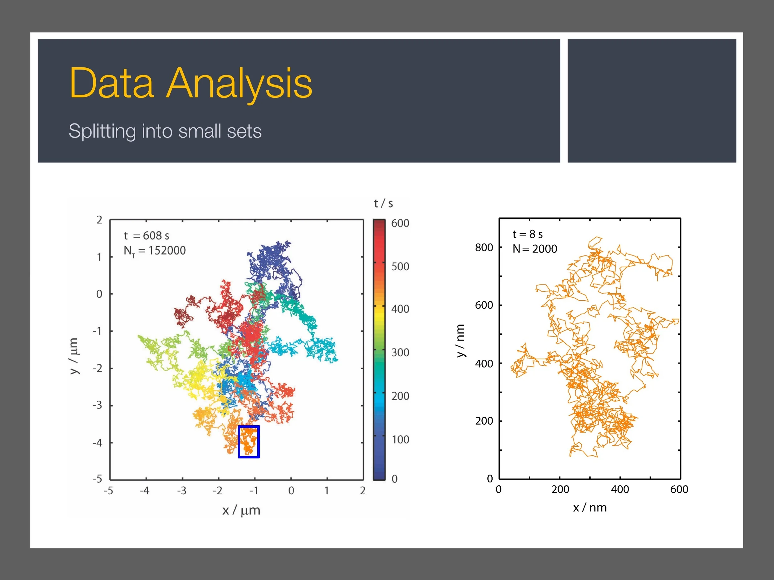 single-particle-tracking_presentation 16.jpeg