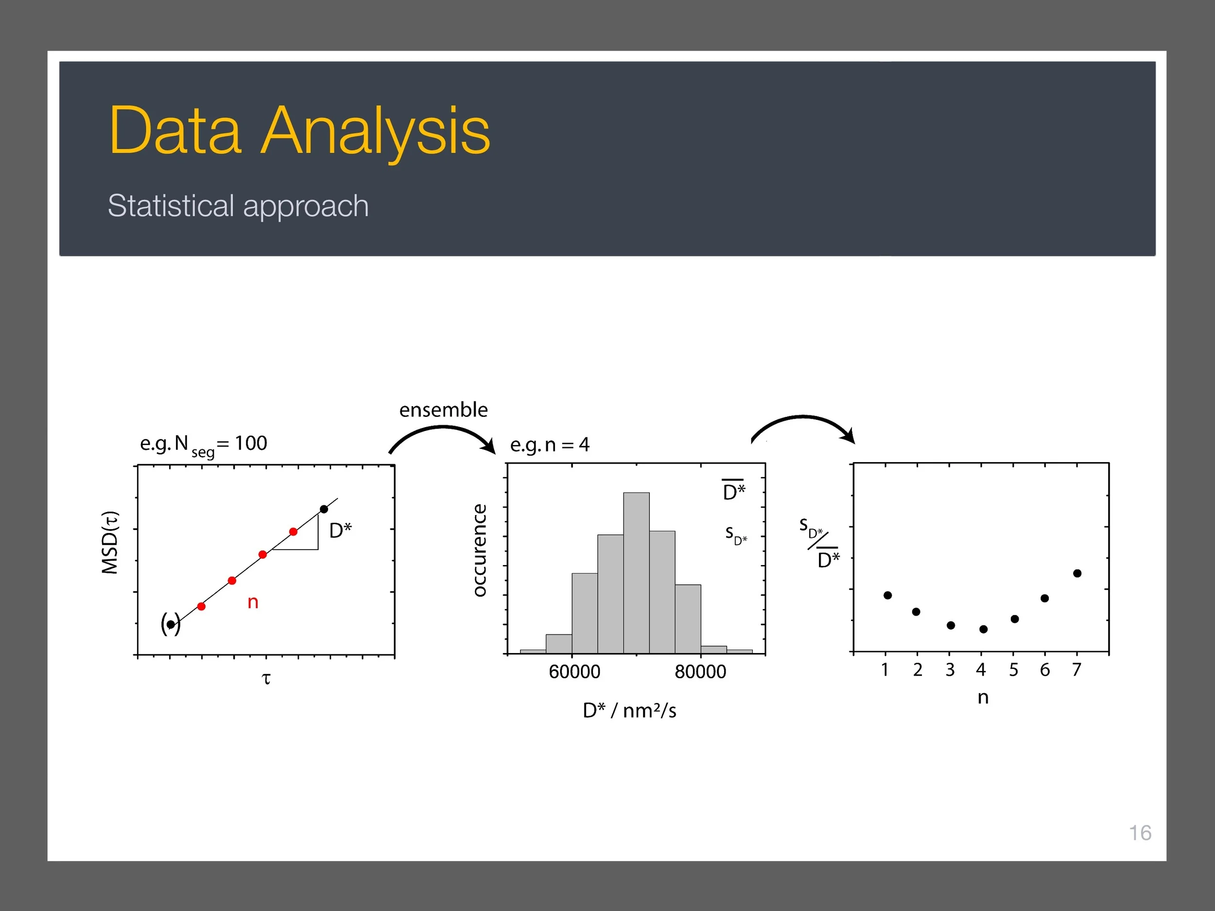 single-particle-tracking_presentation 24.jpeg