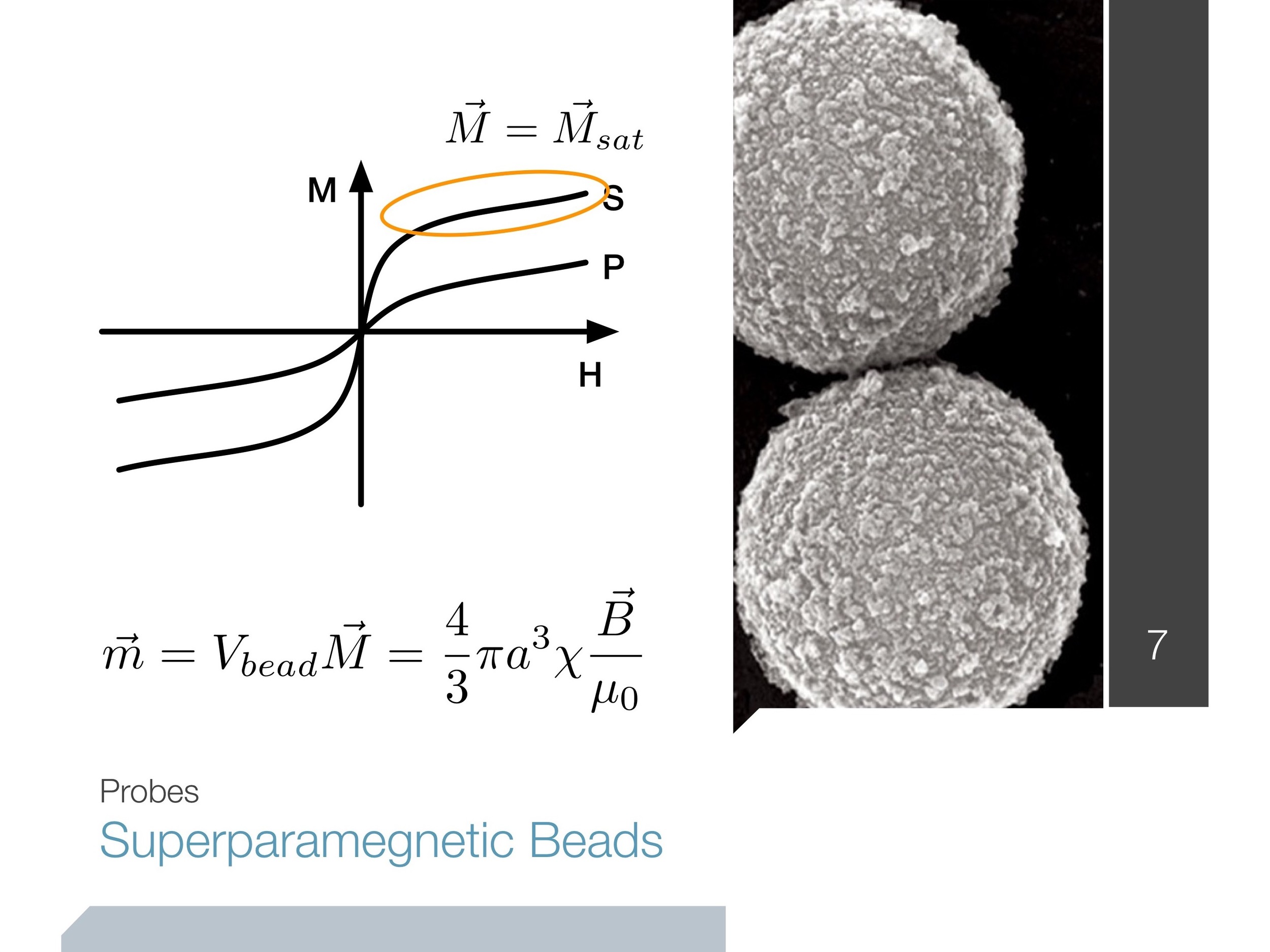 magnetic-tweezers_presentation 11 copy.jpeg