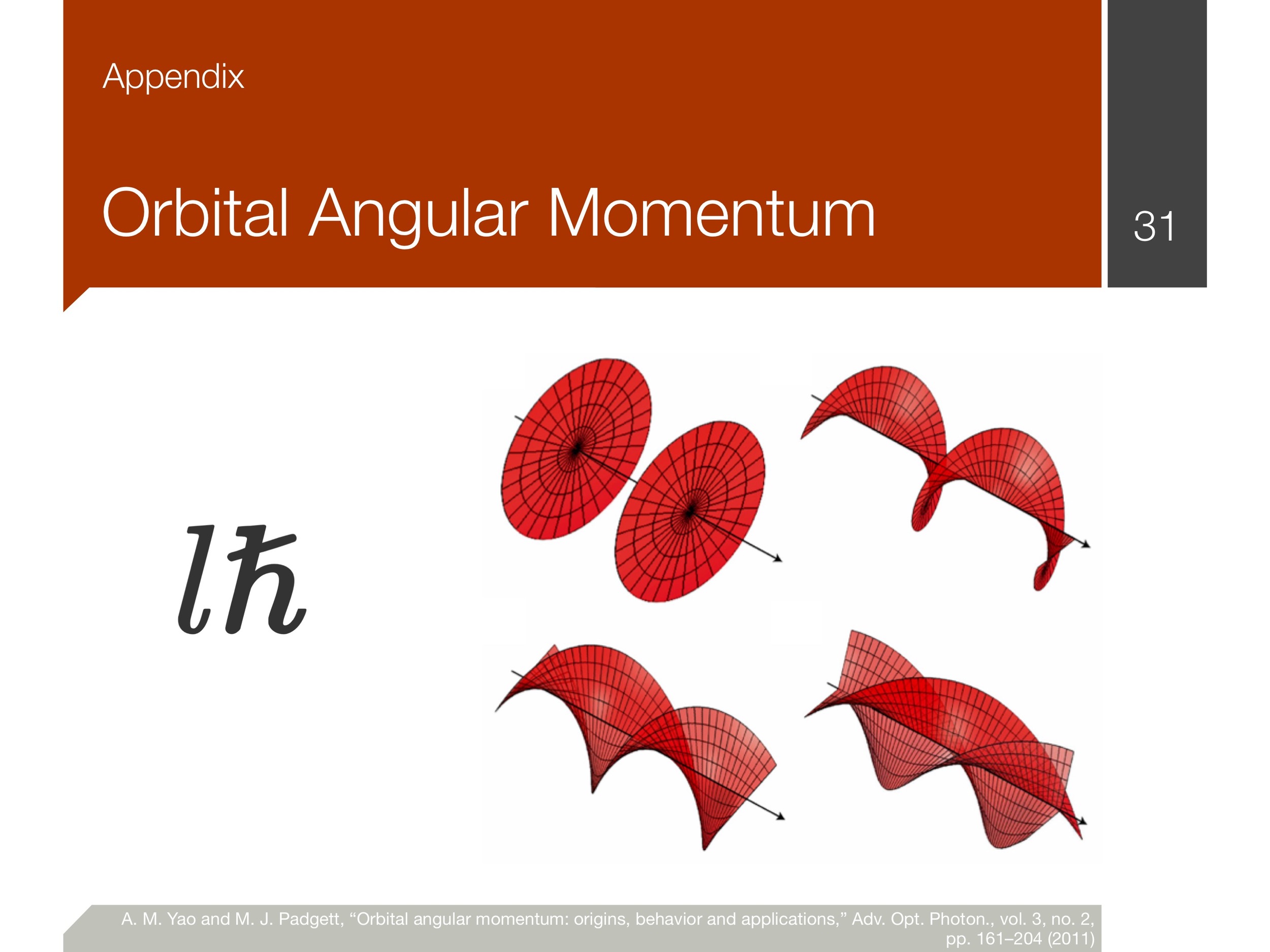 oam_pmeft_presentation_final 41.jpeg