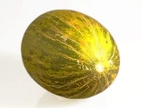 Melons