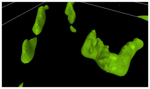 Ground magnetics results, reduced-to-the-pole (RTP). BIF in black and hematite in red.