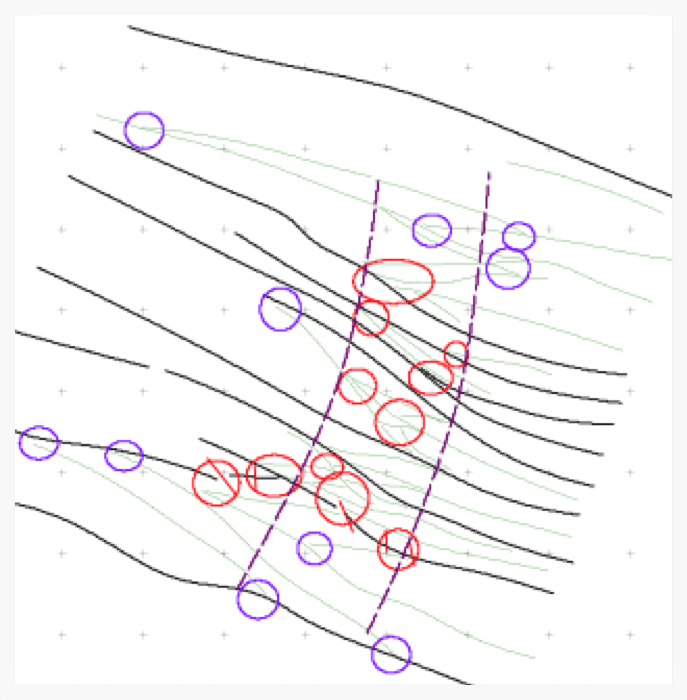 Structural interpretation with primary targets circled in red and secondary in blue.