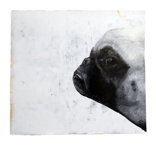 pug painting oil hyper realist animal portrait black and white
