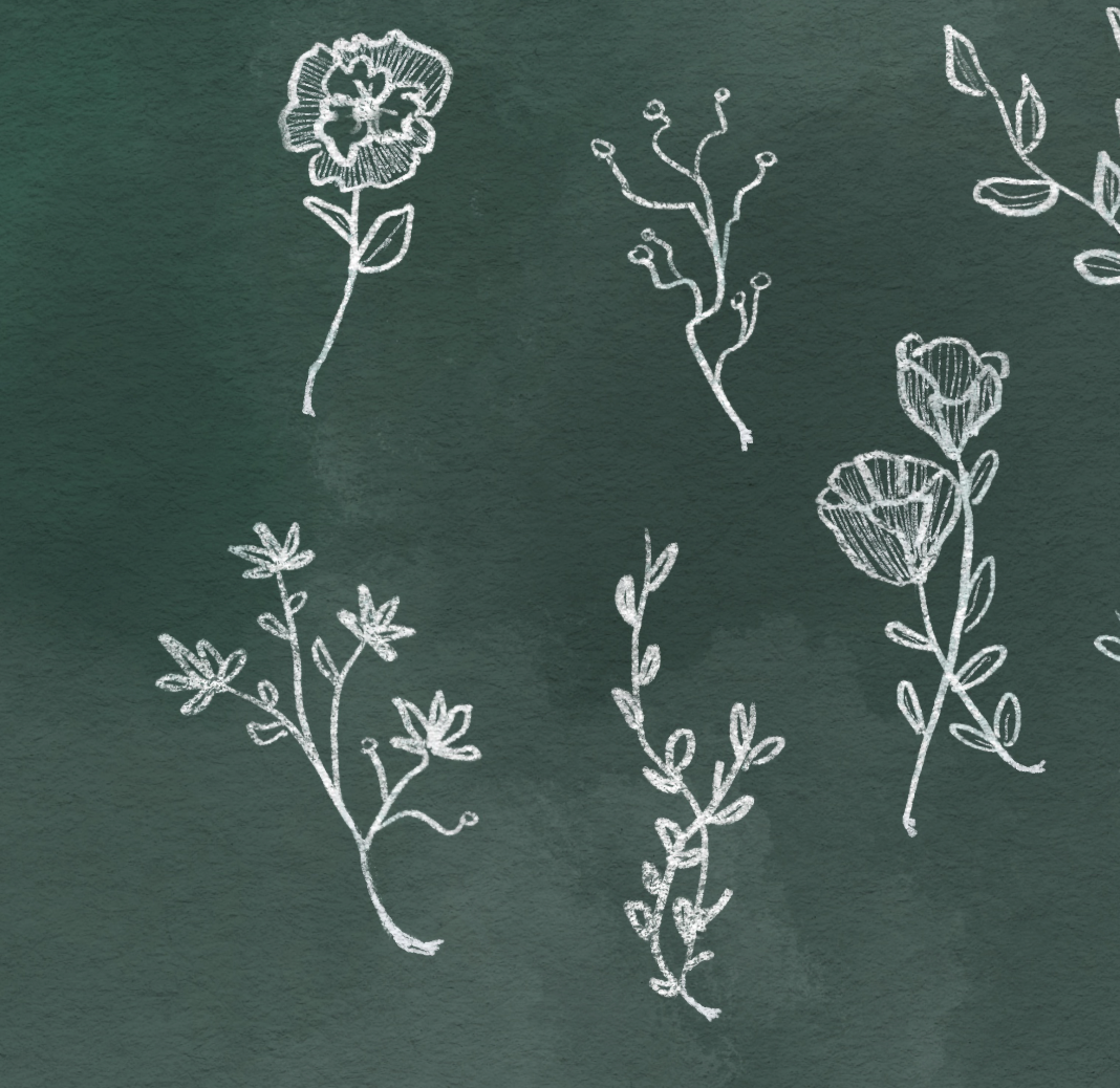 Wildflower-detail.png