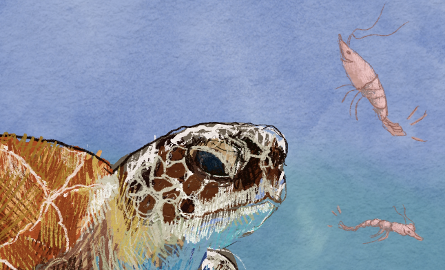 sea-Turtles-shrimp-ocean-Cute-Childrens-Kids-Room-Decoration-Art-Print-painting-detail