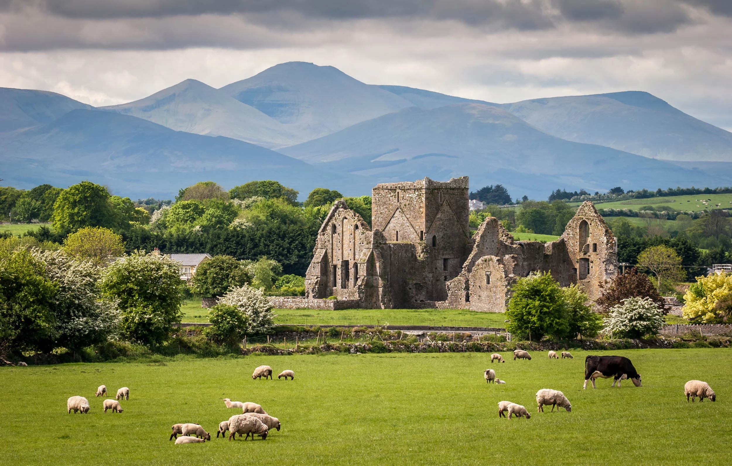 edit_shutterstock_130088723-3.jpg