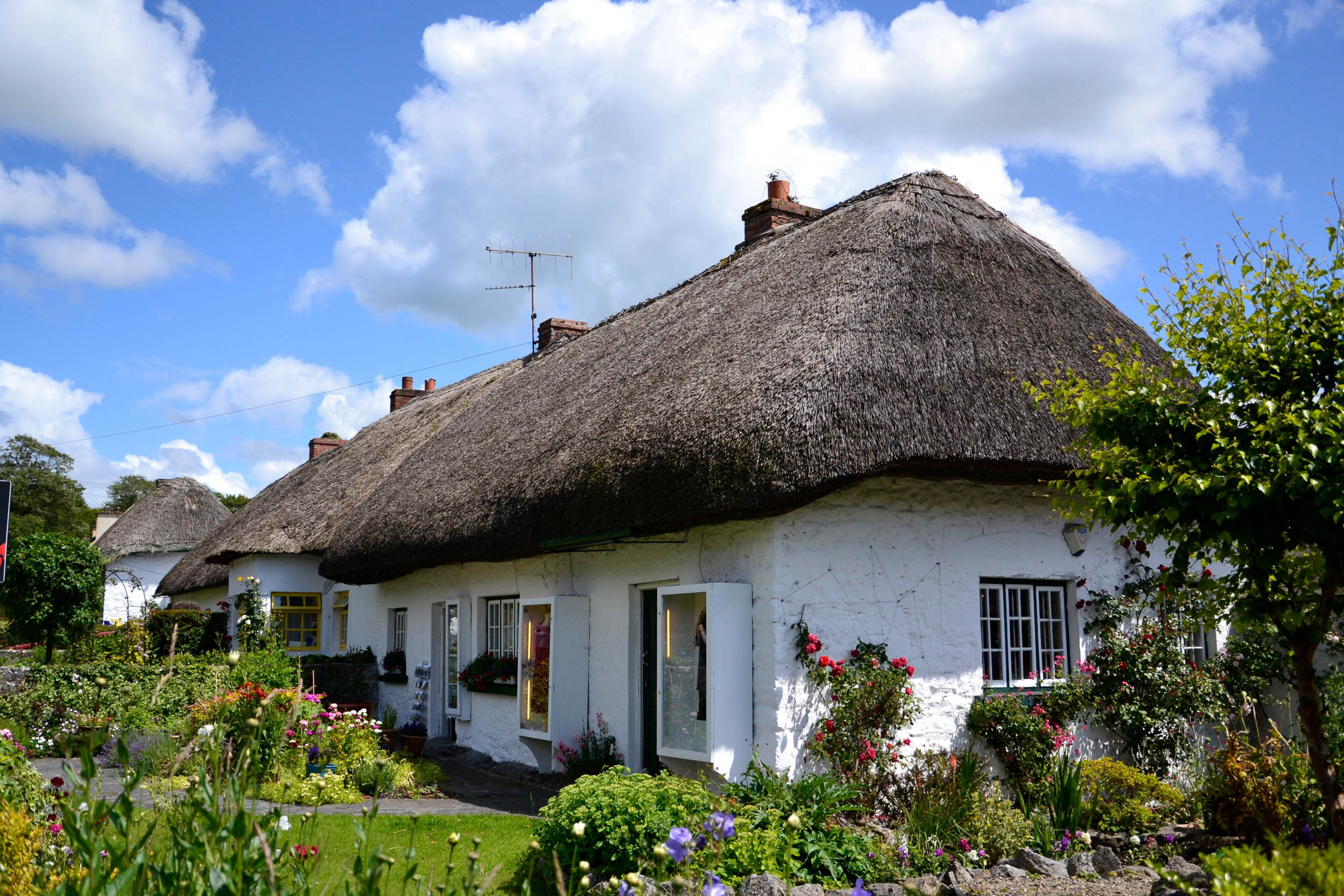 ireland-233369.jpg
