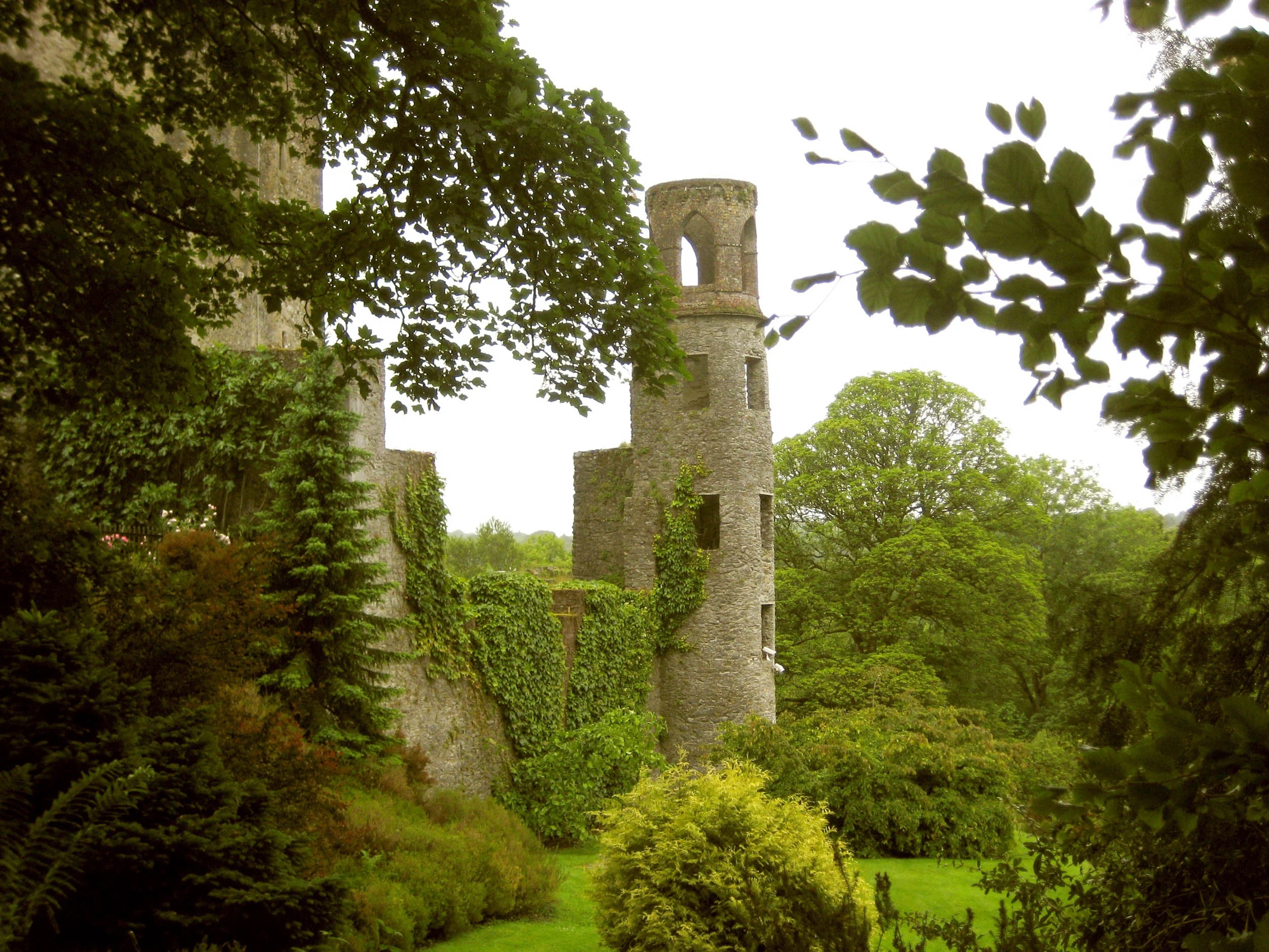 ireland-976891.jpg