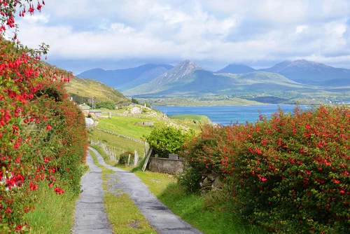 Join us in 2020 on one of our small group tours.
