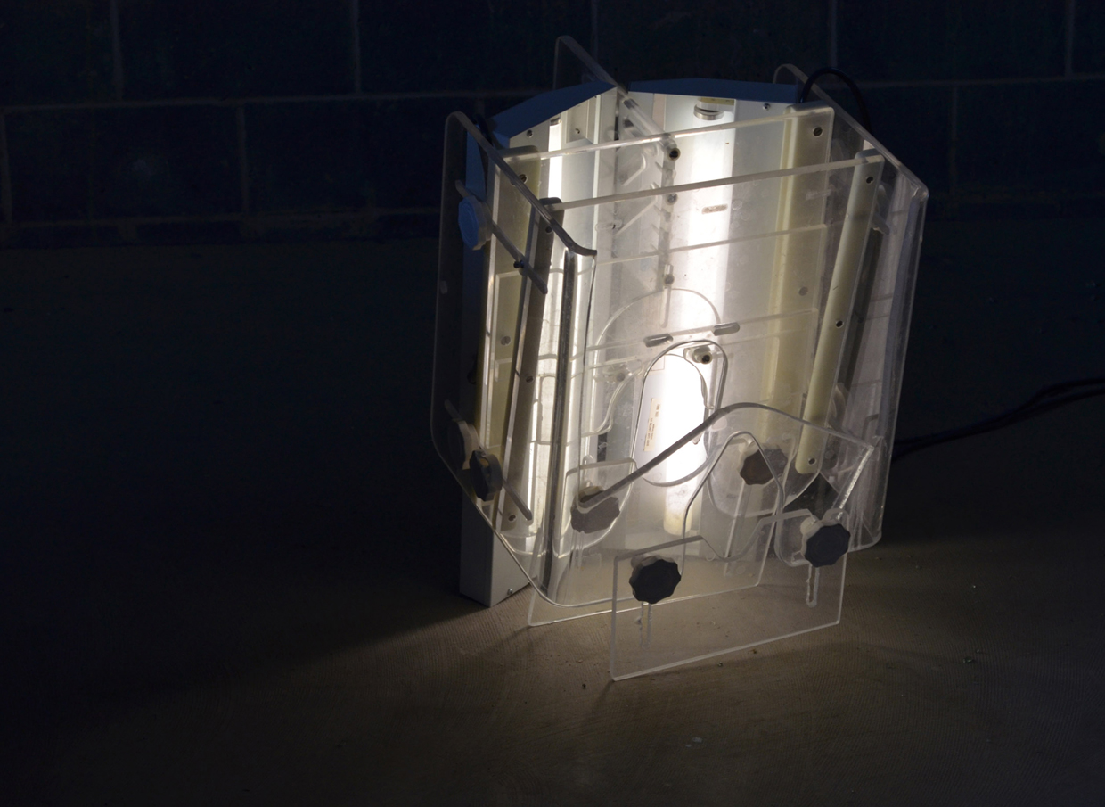 Incubator