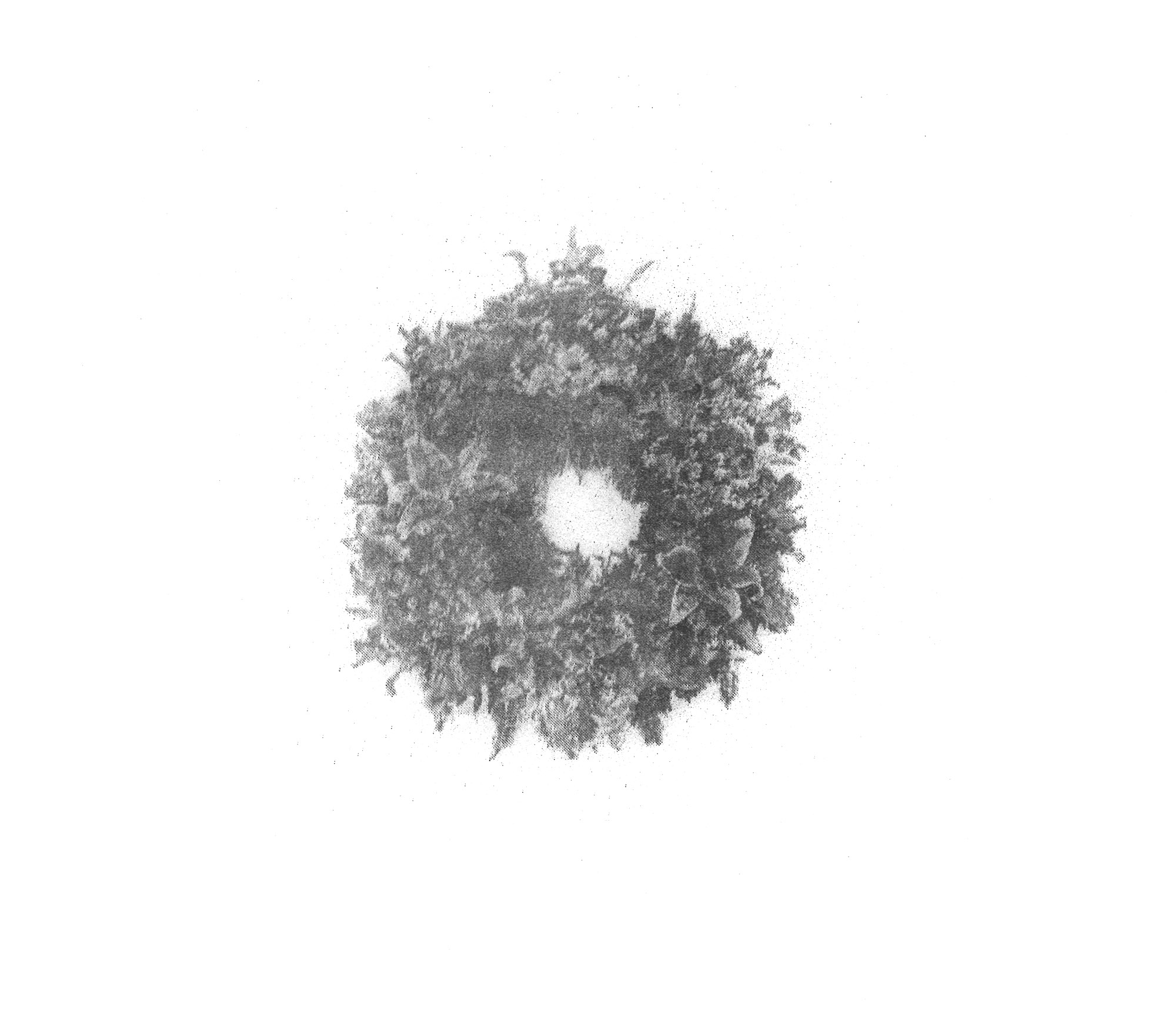 Arrangement III
