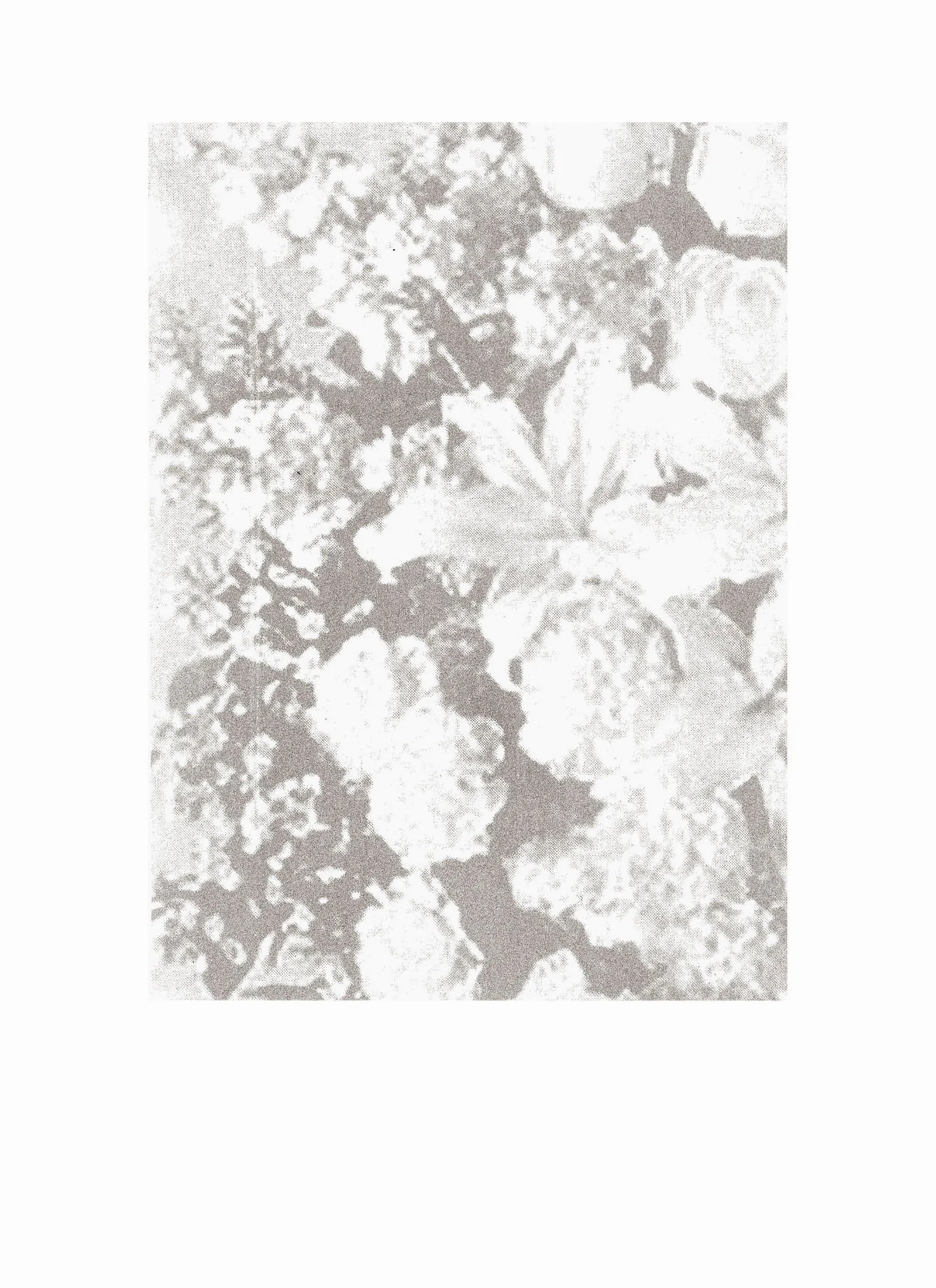 Arrangement IV