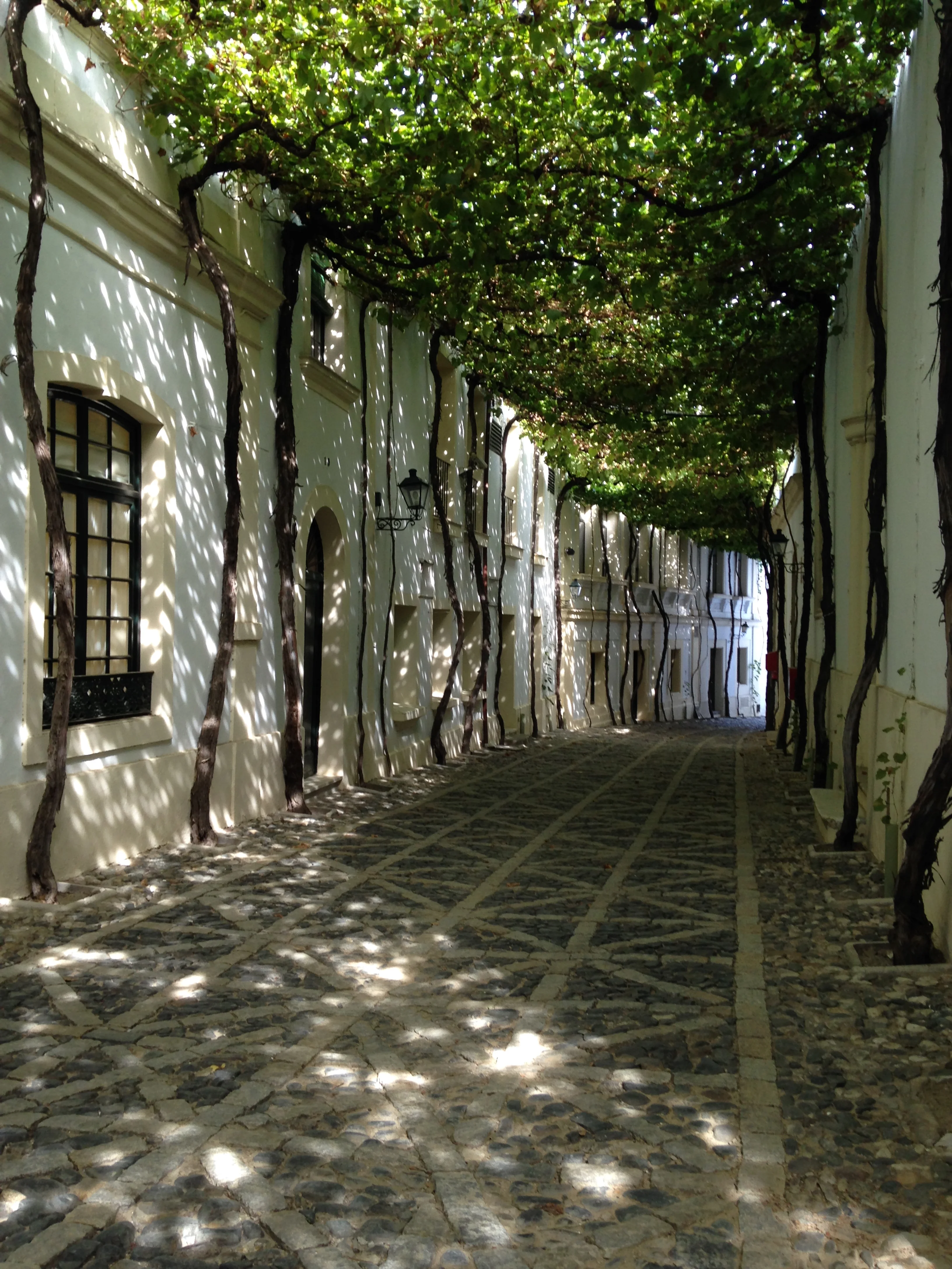 @ the Bodega Gonzalez-Byass