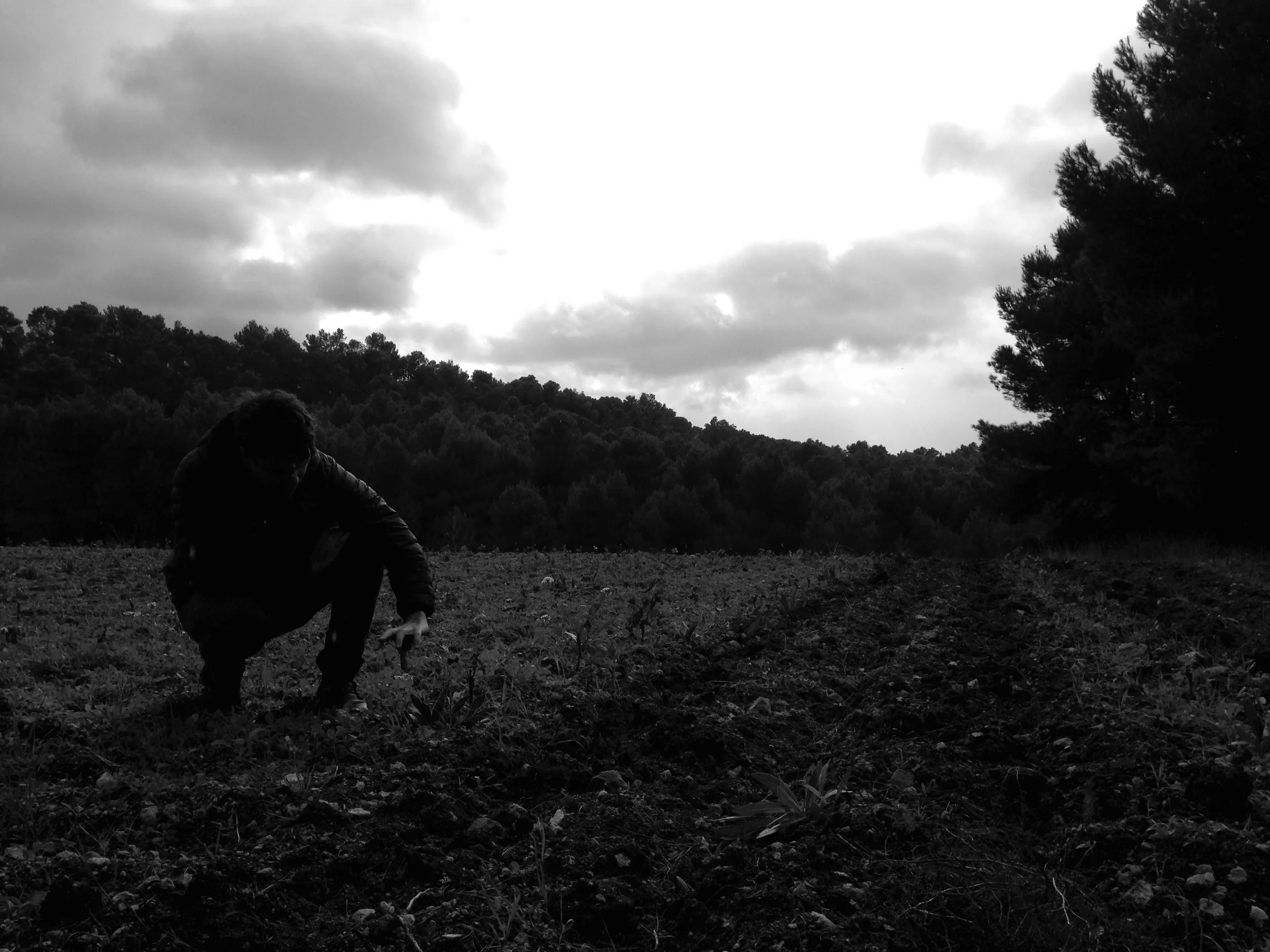 Jasper aside new vine life at Hegarty Chamans in Minervois