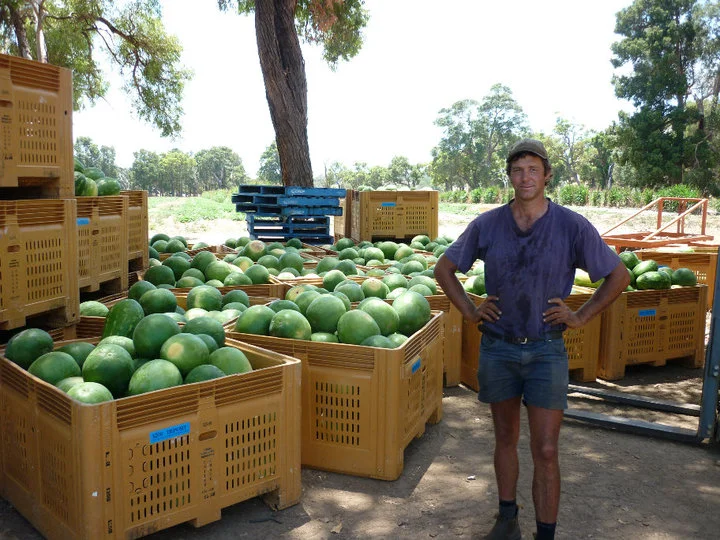 A proud farmer - John and his Watermelons, Waroona, Western Australia