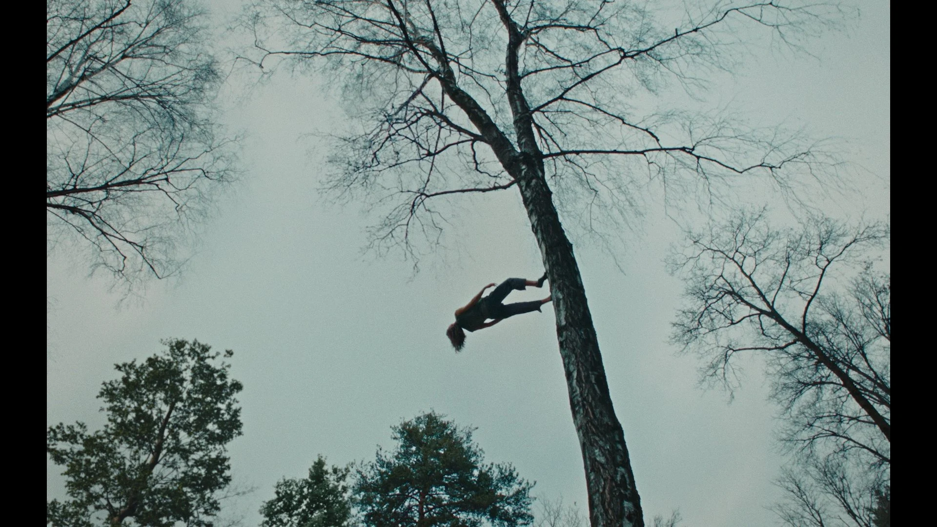 VIBRAM - When Did We Separate From Nature?