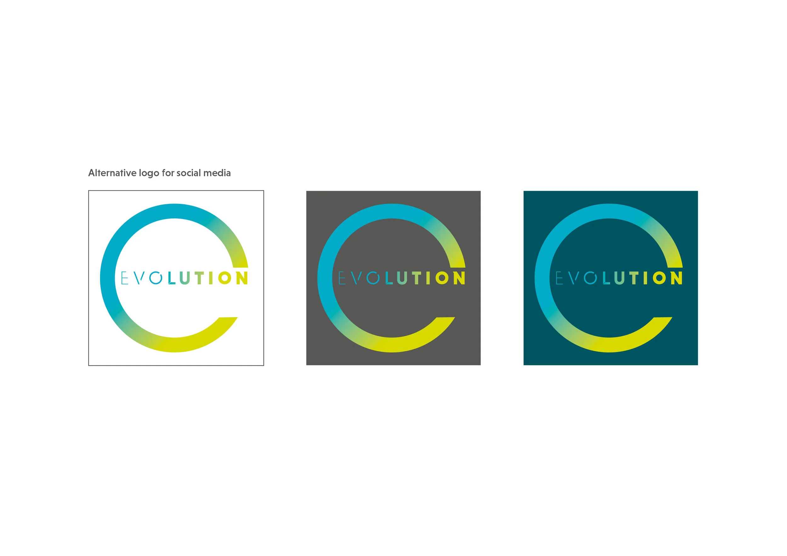 Evolution Branding Project9.jpg