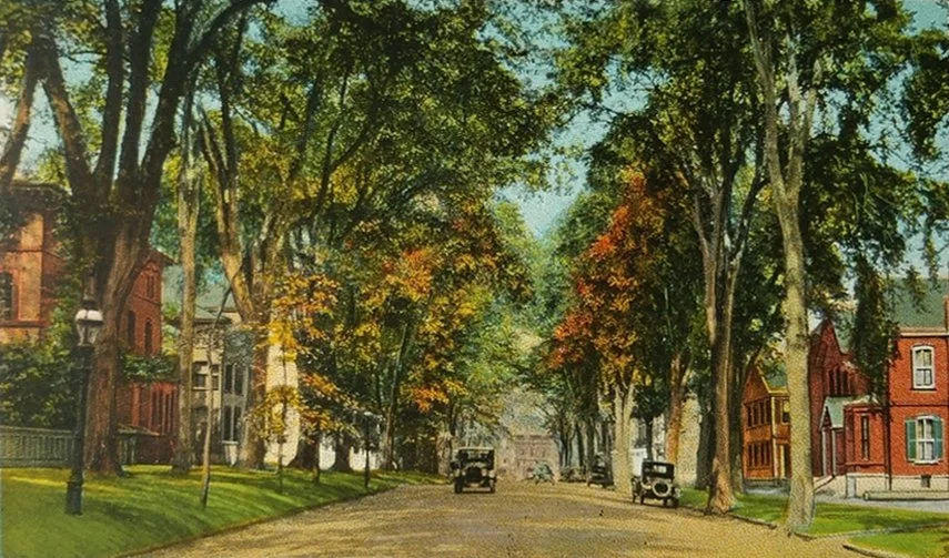 StateStreet_Fall_DWOnline.jpg