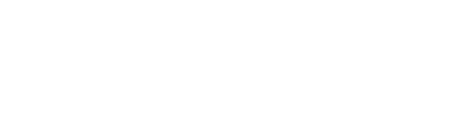 KNEISSLER & STAHLI