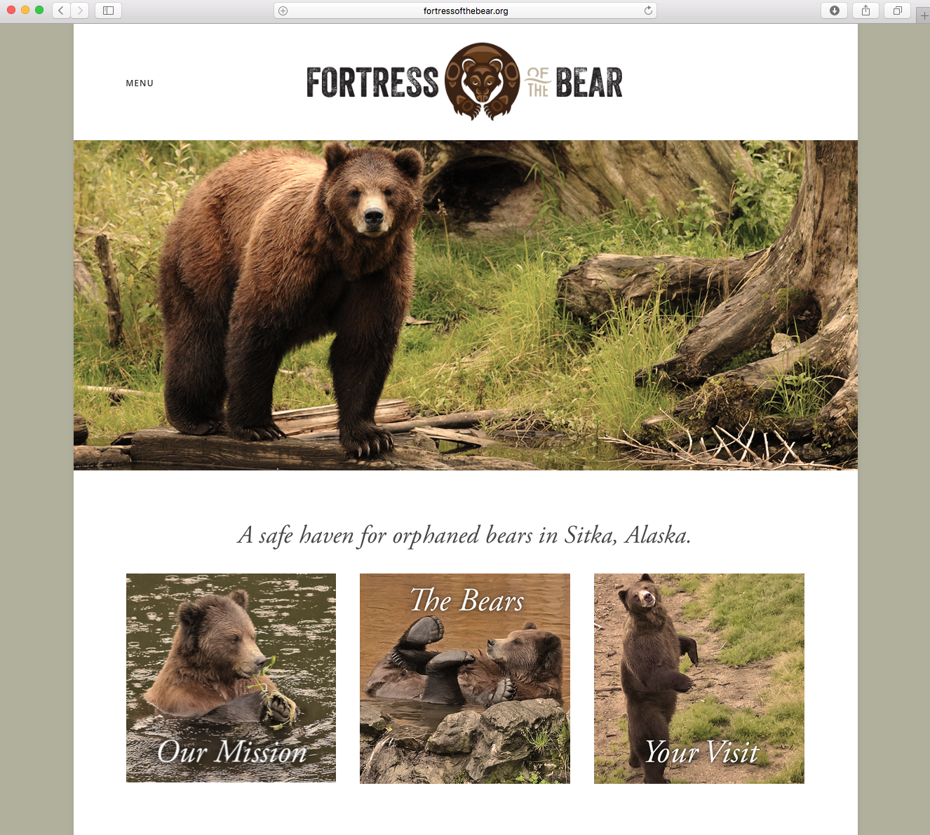 Fortress Bear homepage.png