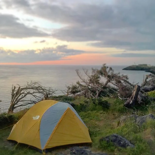 Cliff-side camping ⛺️ next to the sea 🌊 goes down as one of the most amazing experiences I've ever had. The site was always teeming with life as sea birds flew by and the sound of the waves rolling into the rocks could be heard below. On multiple oc