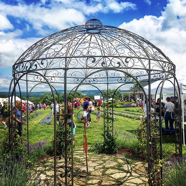 Back home under the beautiful skies of the Finger Lakes, at the Lockwood Lavender Farm c.1854, to enjoy the sights of aromas of this years Lavender Festival. It's refreshing to come home from an amazing getaway and be reminded that where we live is s