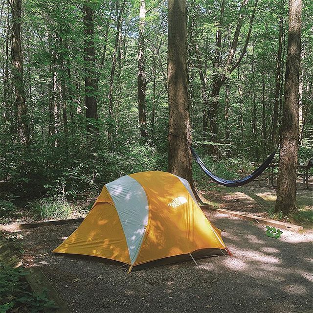 Camp vibes from the Finger Lakes Forest near Seneca Lake. #camping #campvibes #nys #ispyny #iloveny #neverstopexploring #getoutside #forest #woods #northface #tent #hammock #exploremore #wiseowloutfitters  #slowroad #slowroadtravel #beyondrochester #