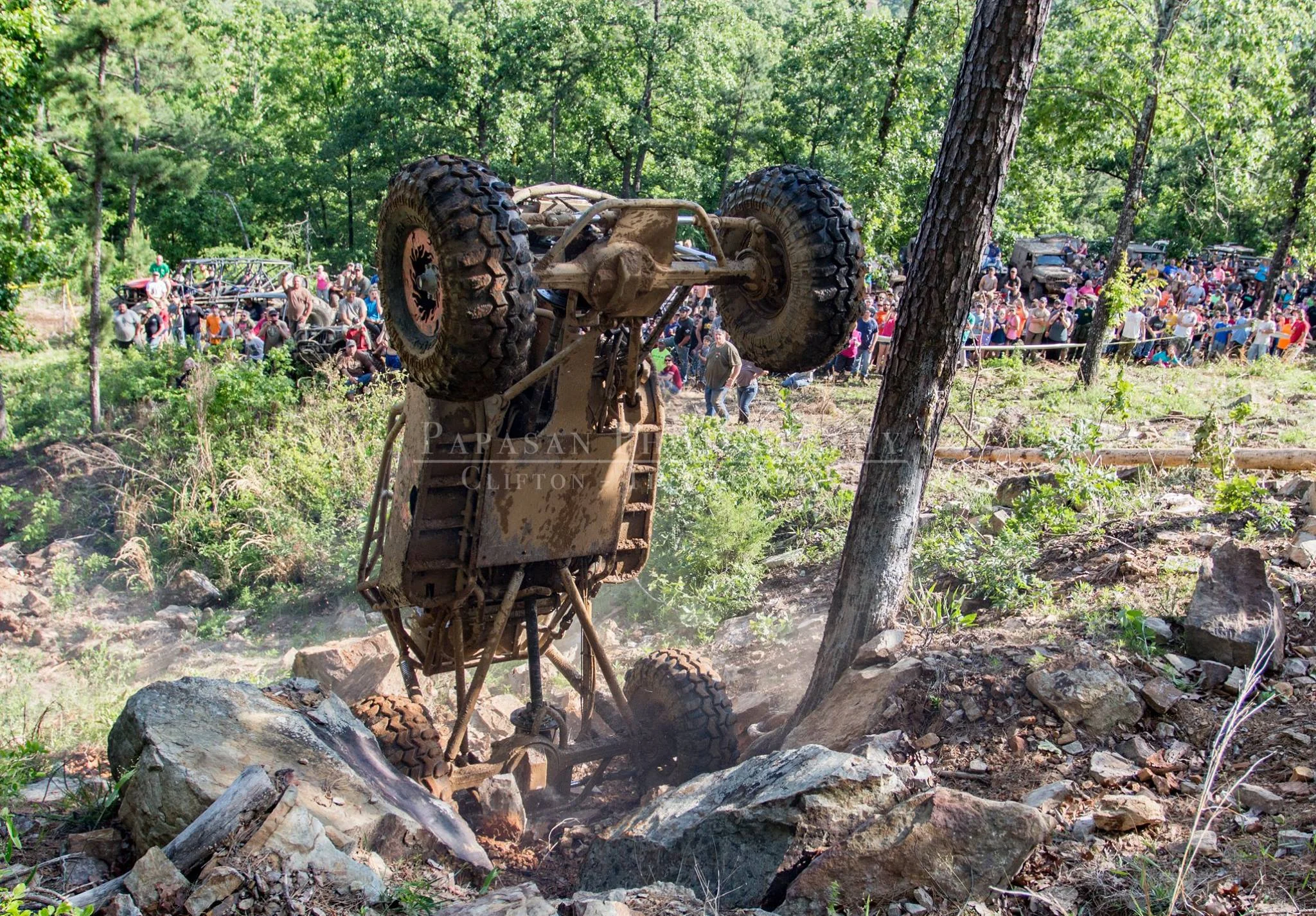 Terril Tracy Bounty 2016.jpg